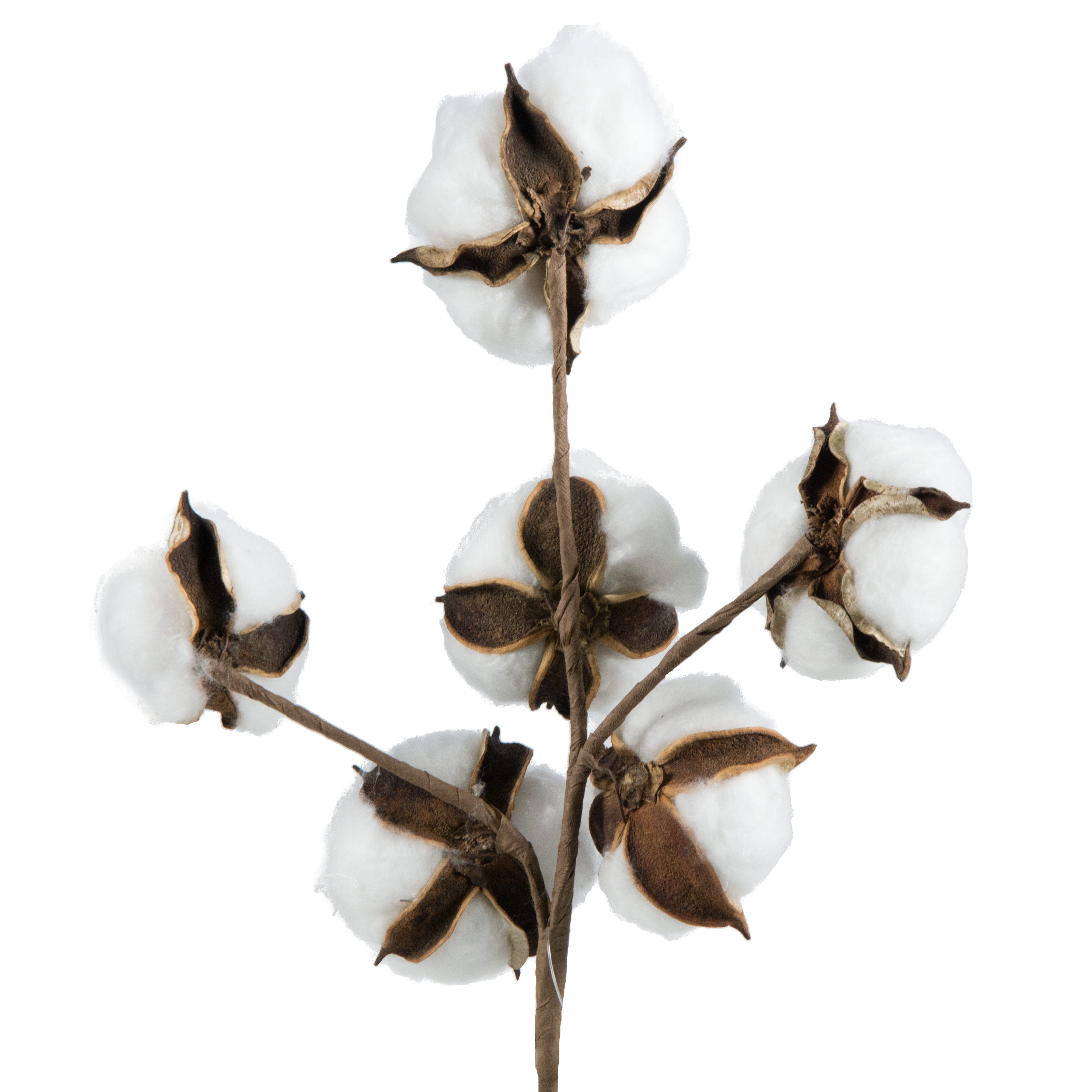 13" Super Cotton Boll Floral Spray detail photo 3