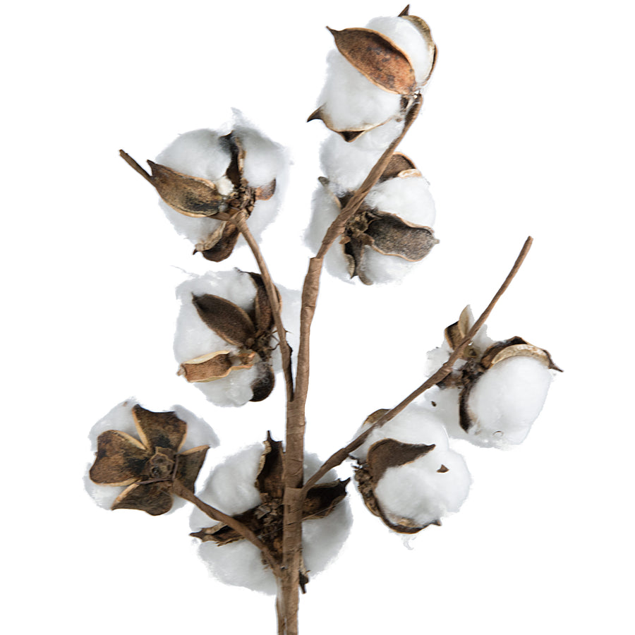 24" Super Cotton Boll Floral Spray detail photo 3