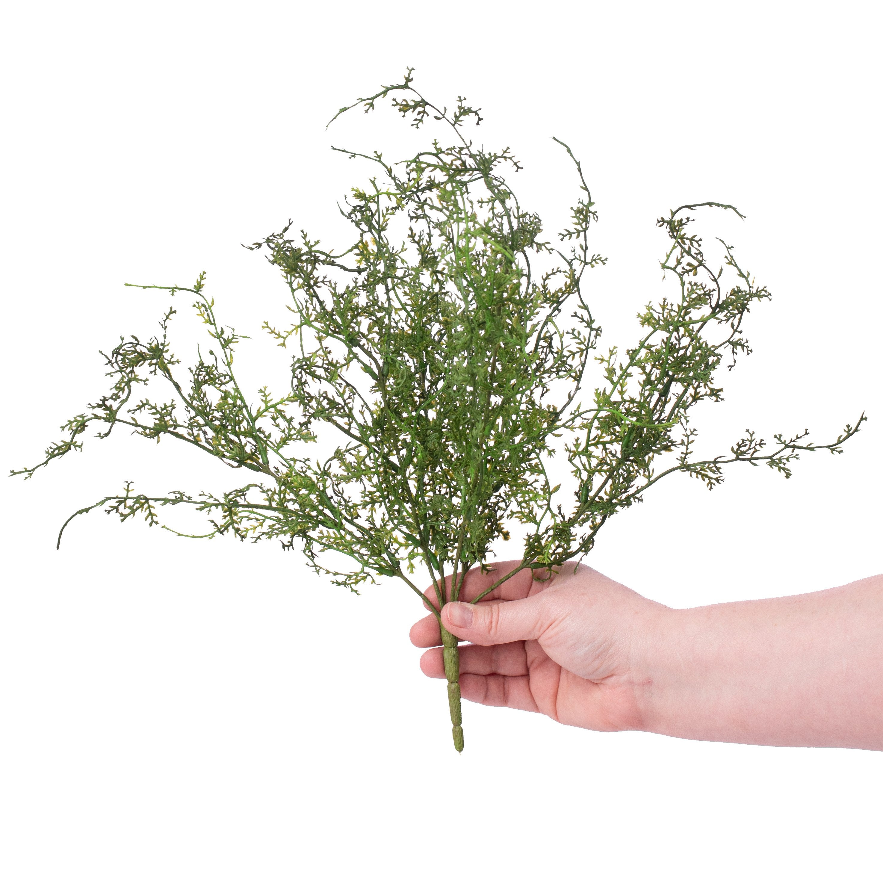 15" Sweet Annie Fern Bush Lifestyle Photo