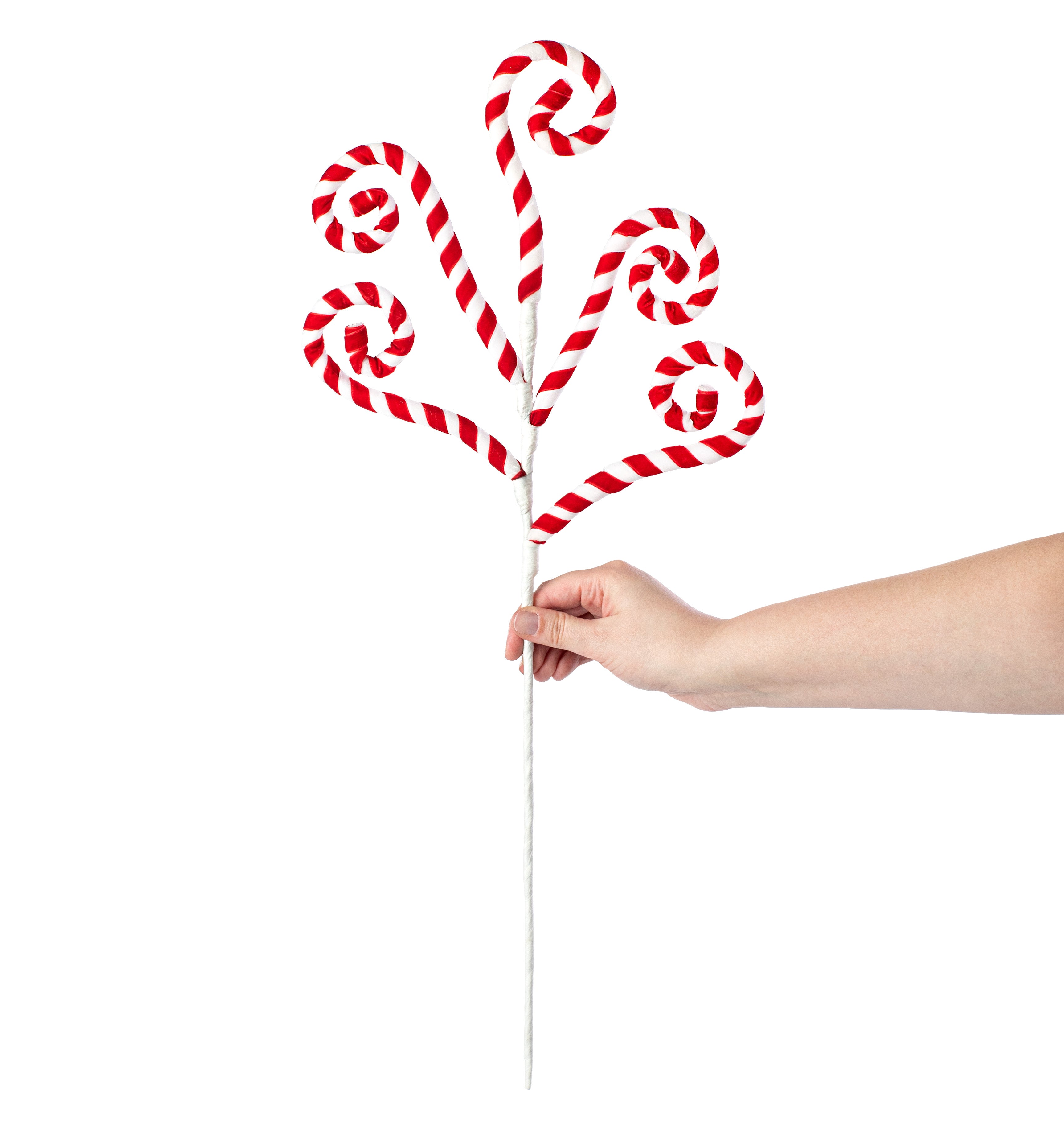 24" Swirl Spray: Candy Cane White & Red detail photo 3