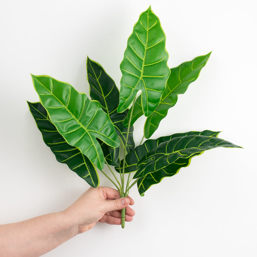 14" Syngonium Leaf Bush (7 Stem) detail photo 3