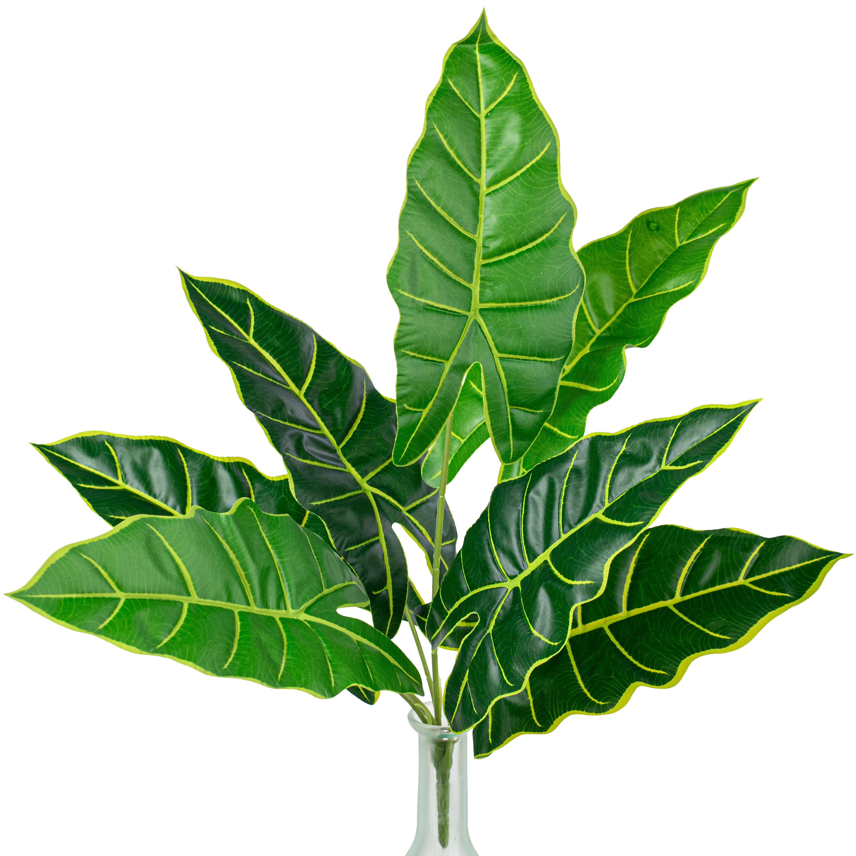 14" Syngonium Leaf Bush (7 Stem) Item Number: 84241-GN