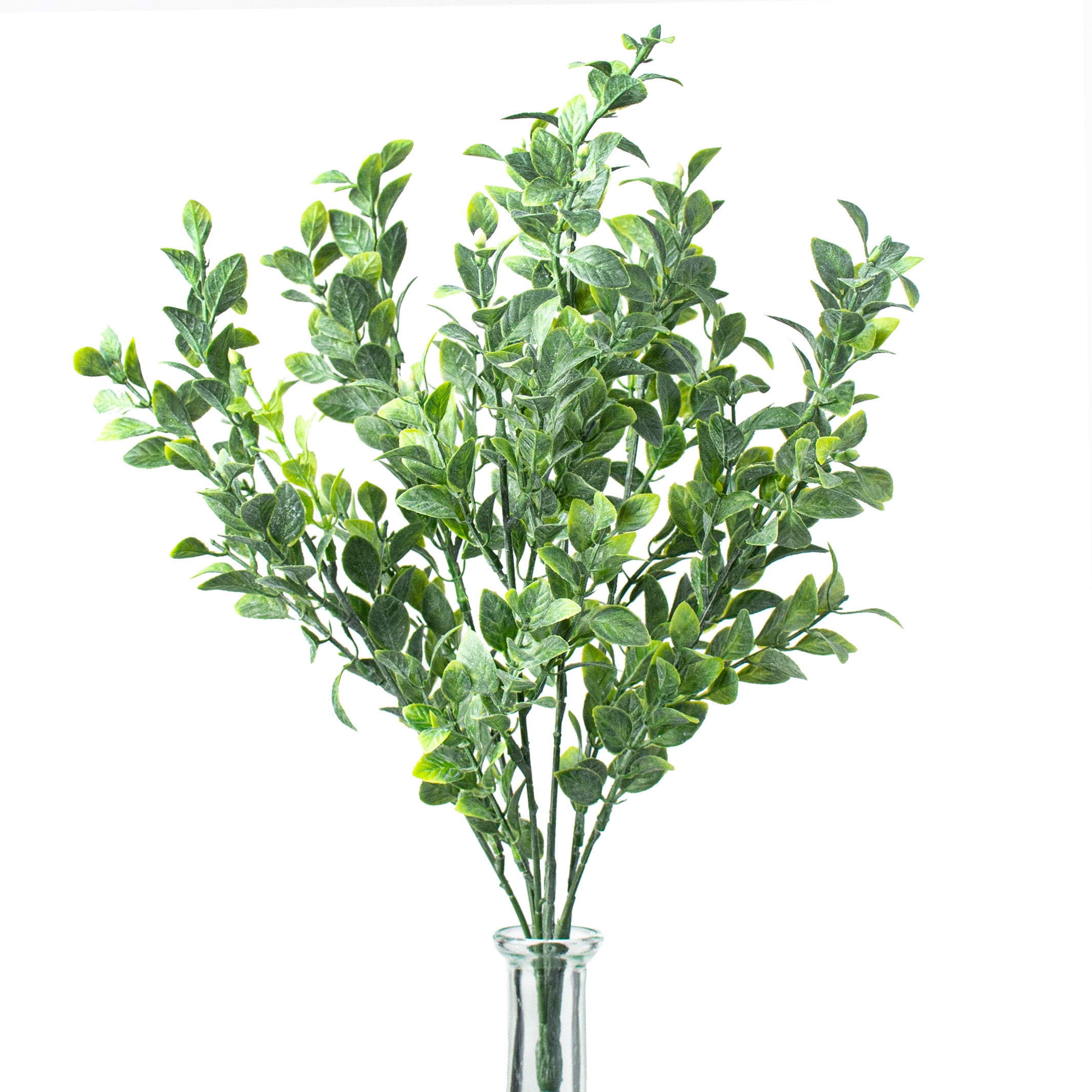 17" Tea Leaf Bush Item Number: 13313GN
