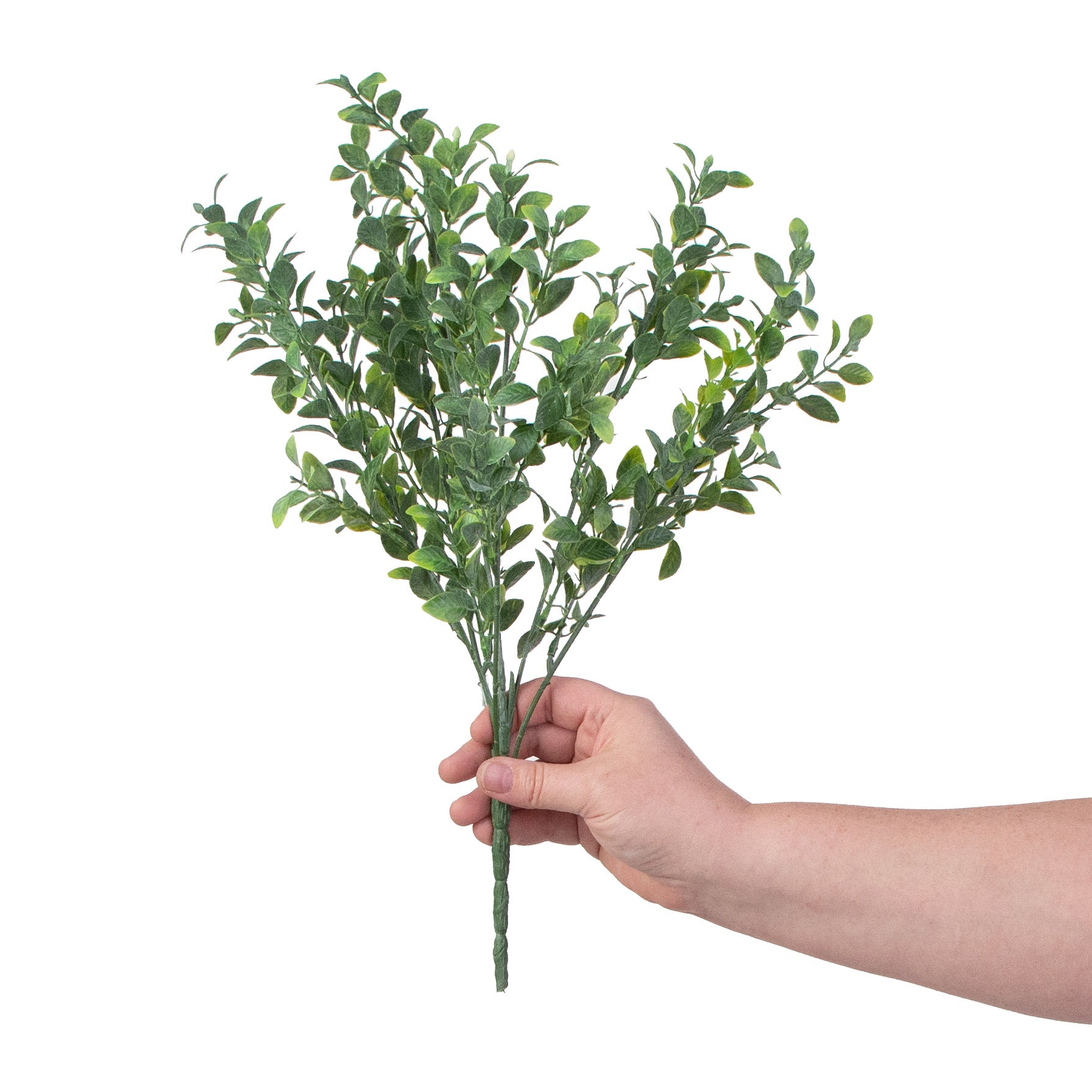 17" Tea Leaf Bush detail photo 3