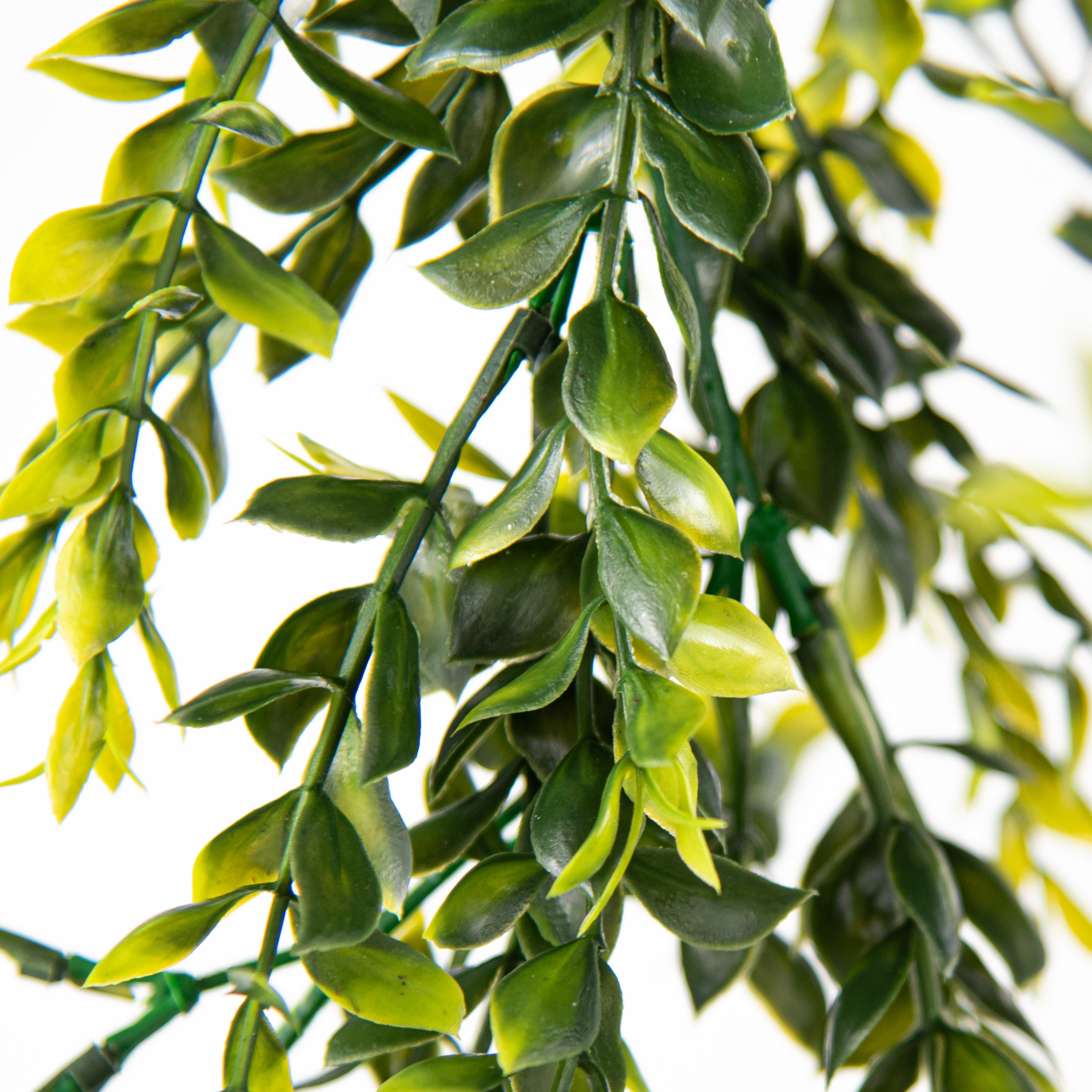 6' Tea Leaf Garland: Green detail photo 3