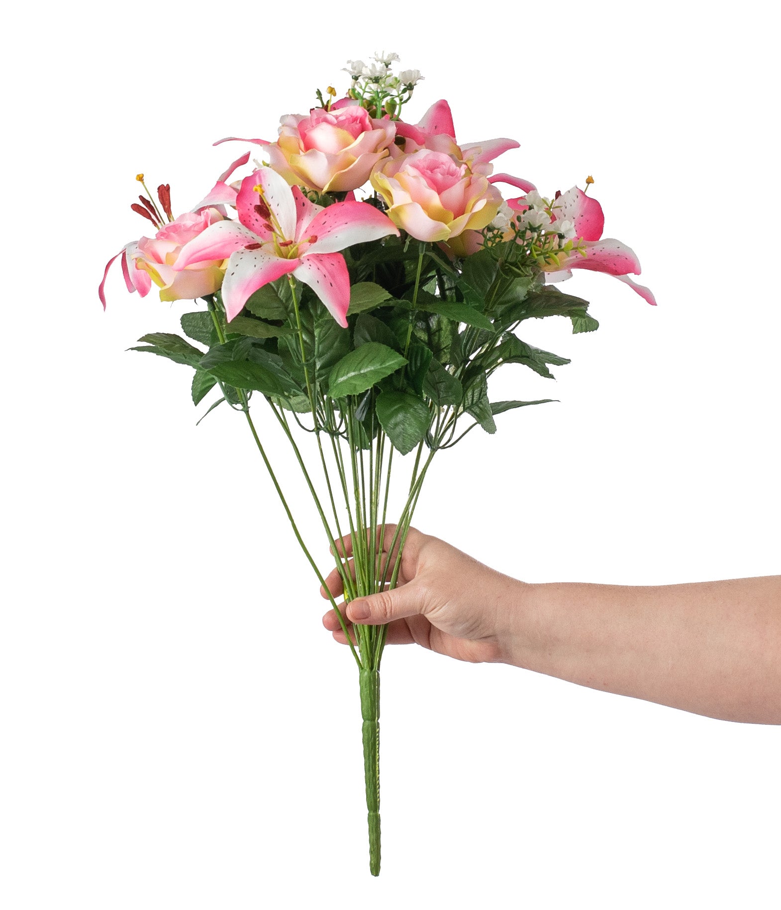 22 Tiger Lily, Rose, Peach Blossom Bush: Pink