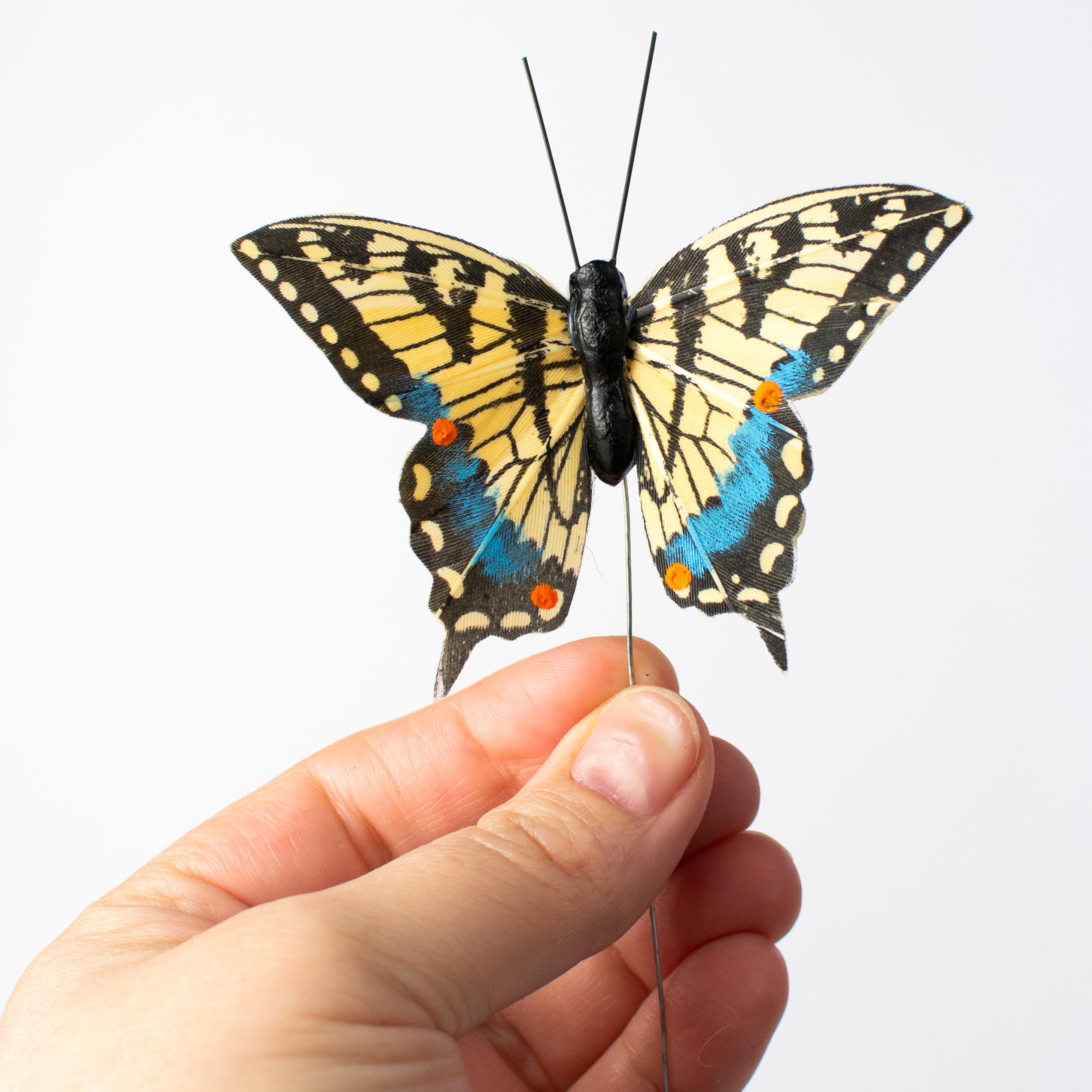 YEN TOWN BAND – Swallowtail Butterfly～あいのうた～7inch