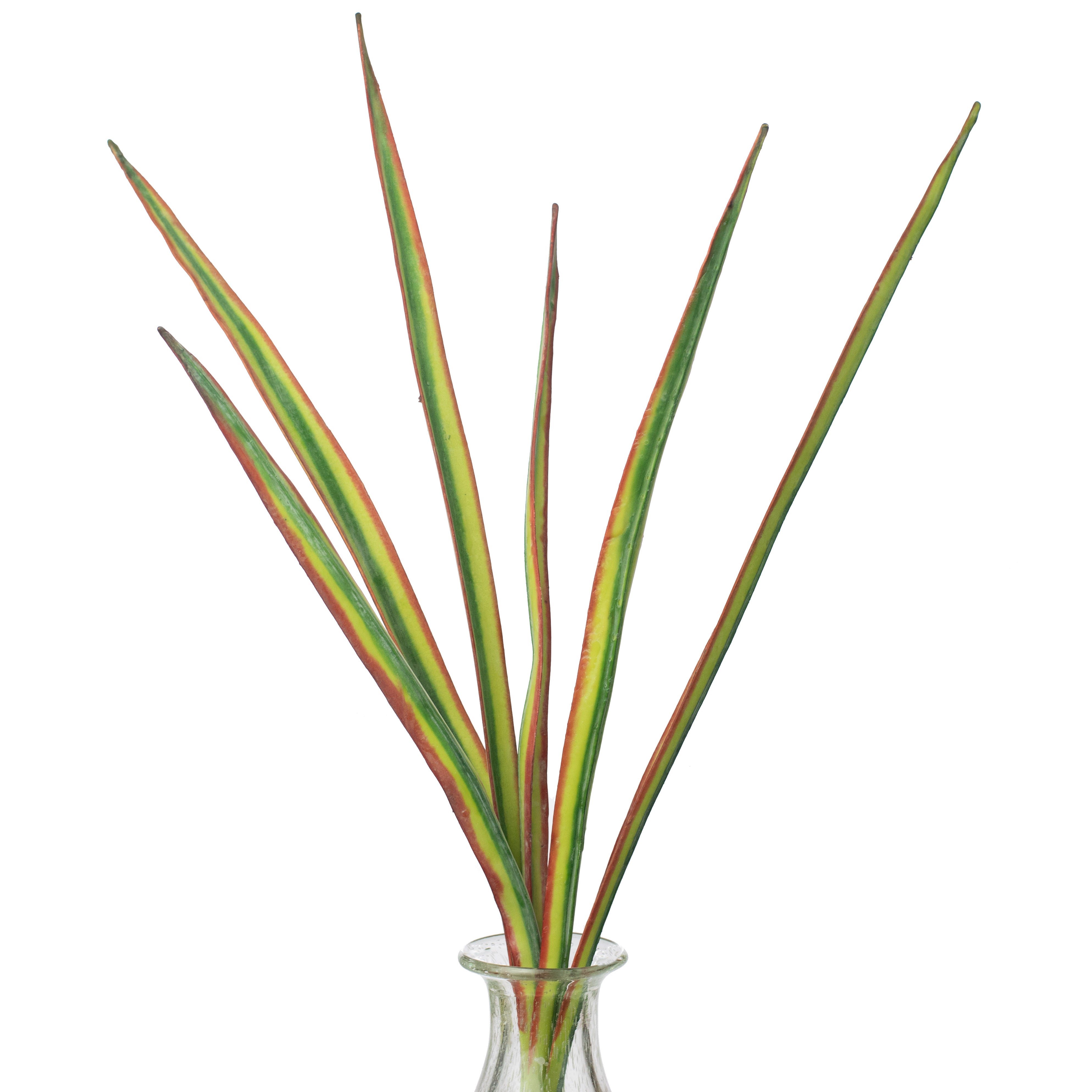 23" Tropical Blade Grass Bundle Item Number: 276814
