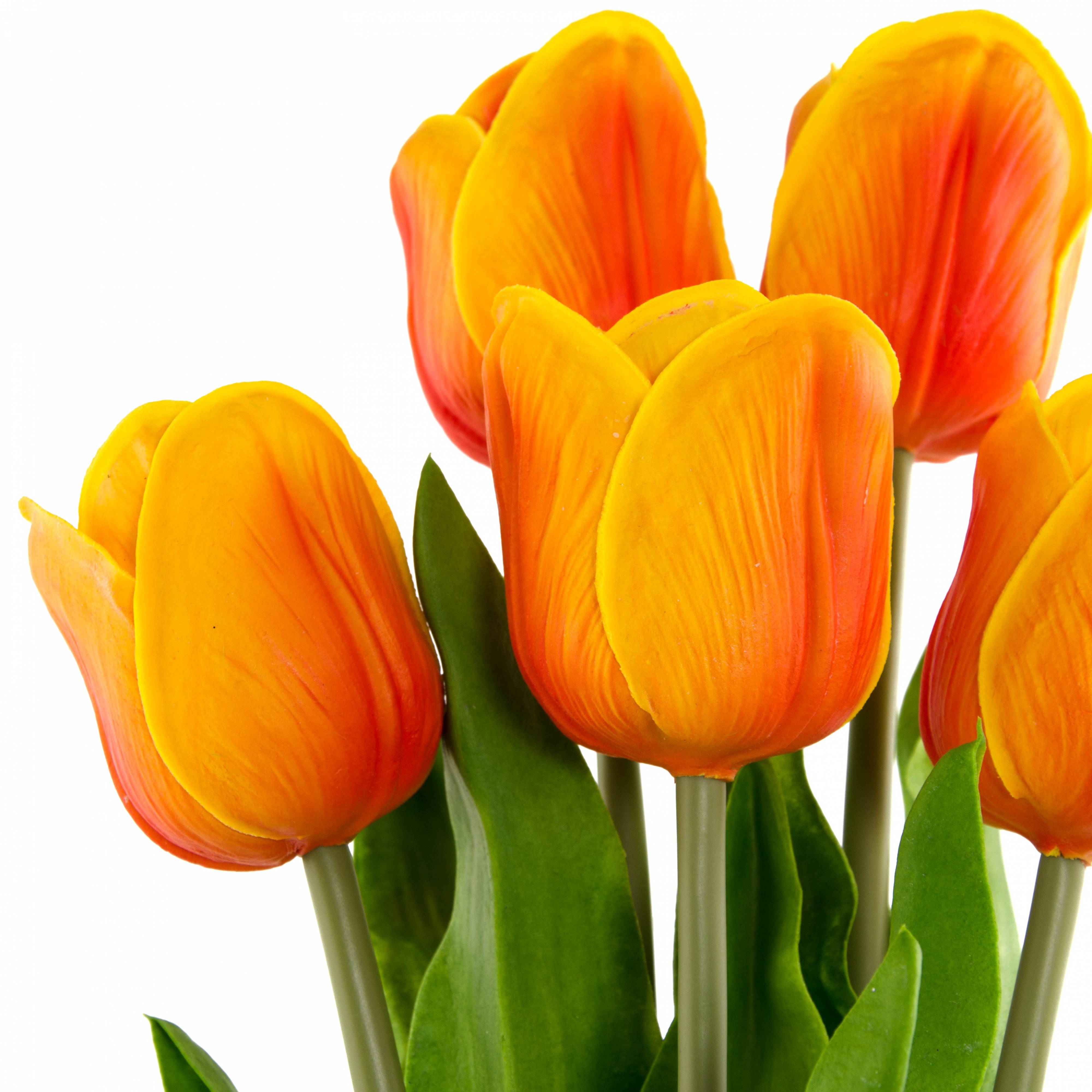 23" Tulip Stem Bunch (X5): Orange detail photo 3