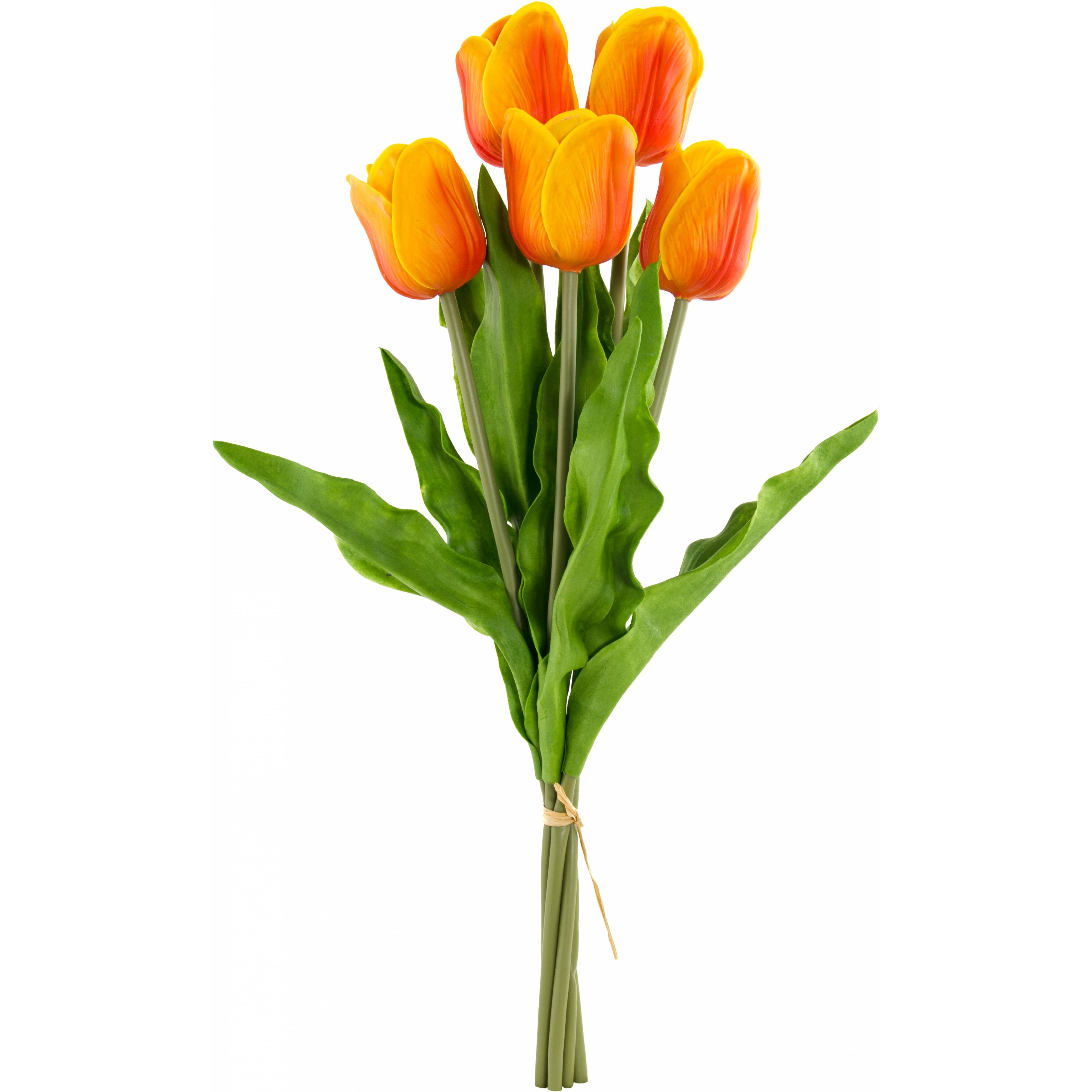 23" Tulip Stem Bunch (X5): Orange detail photo 5