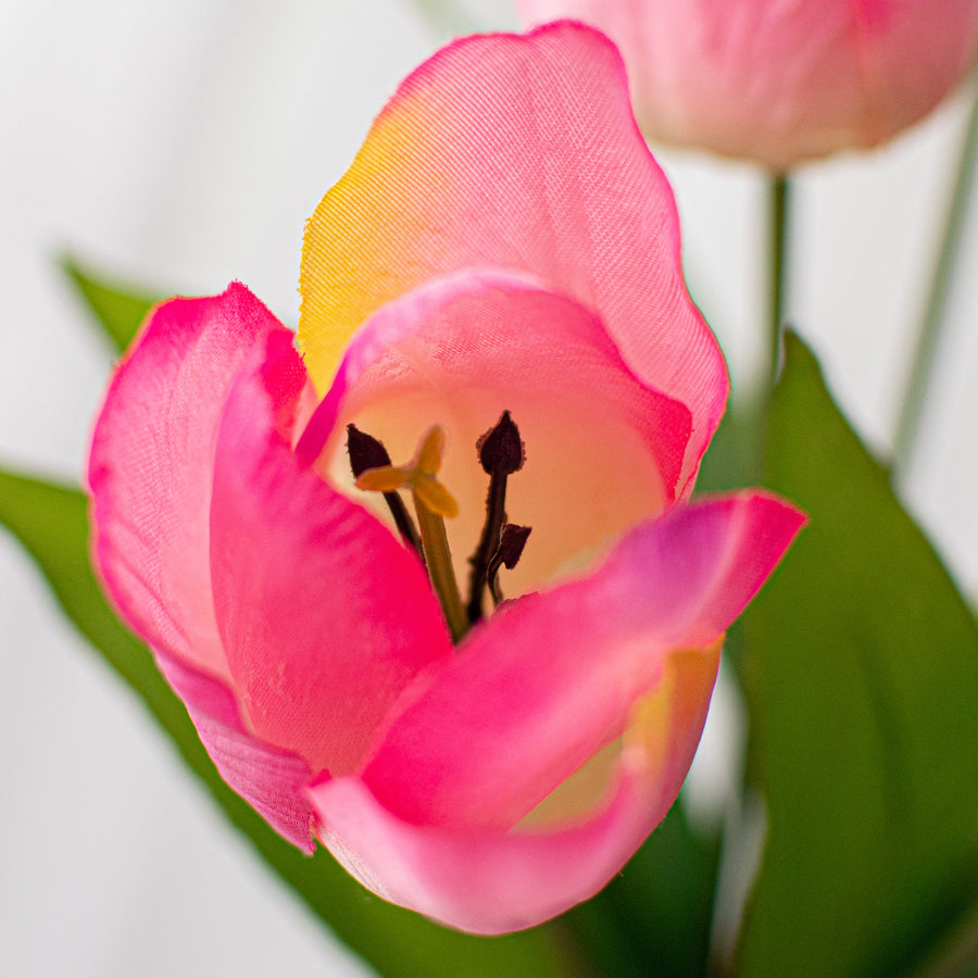 17" Tulips Bush: Pink detail photo 4