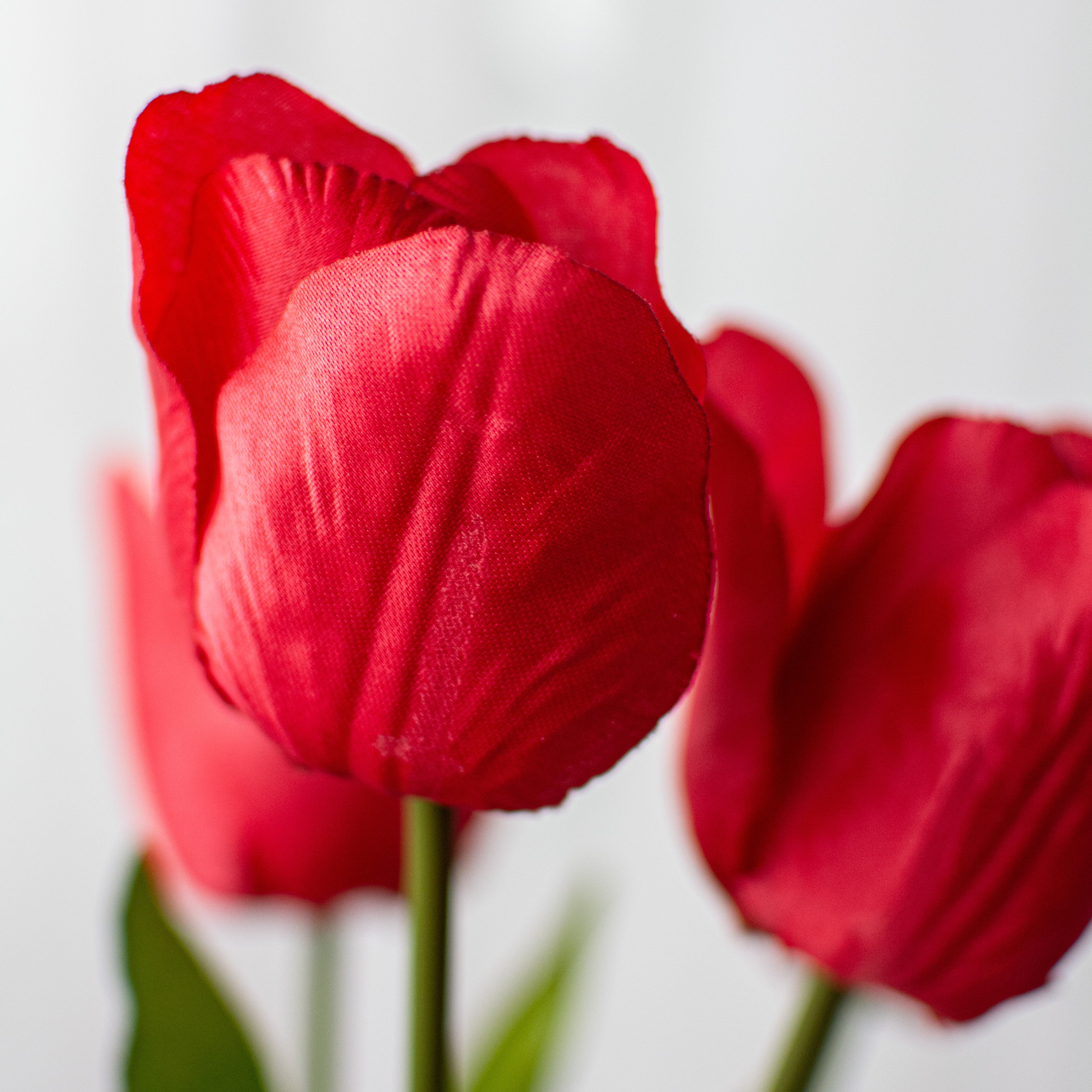 17" Tulips Bush: Red Lifestyle Photo