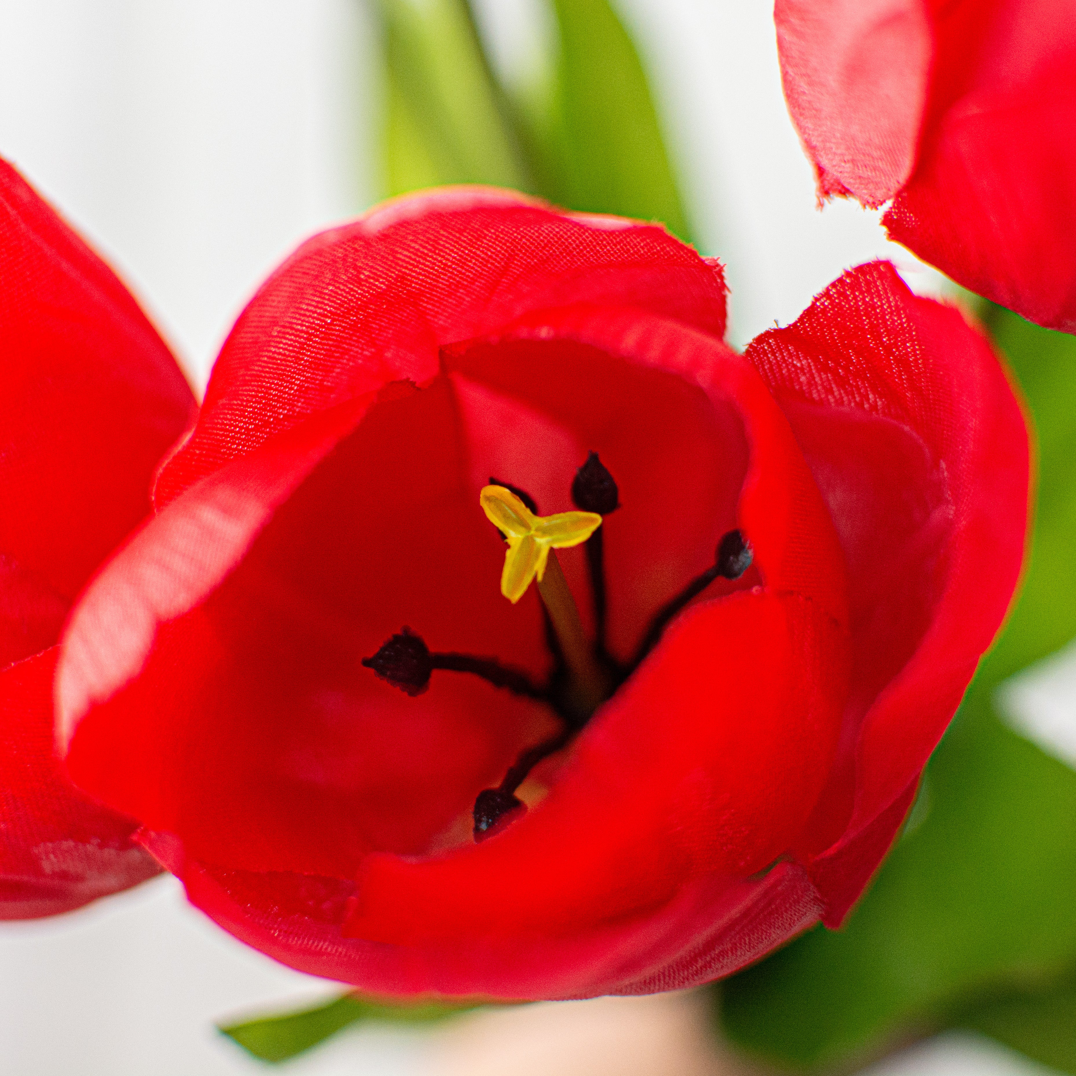17" Tulips Bush: Red detail photo 4