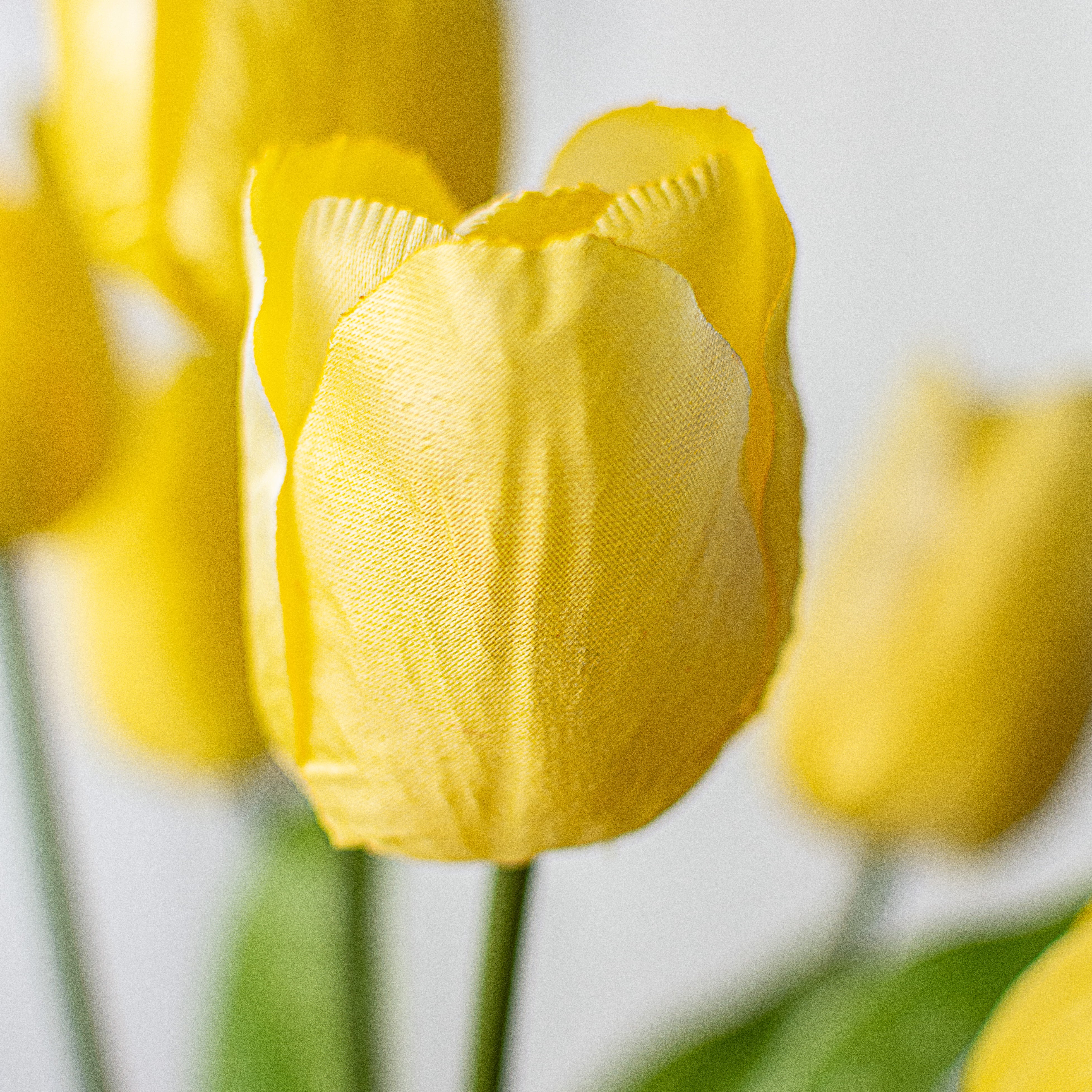 17" Tulips Bush: Yellow Lifestyle Photo