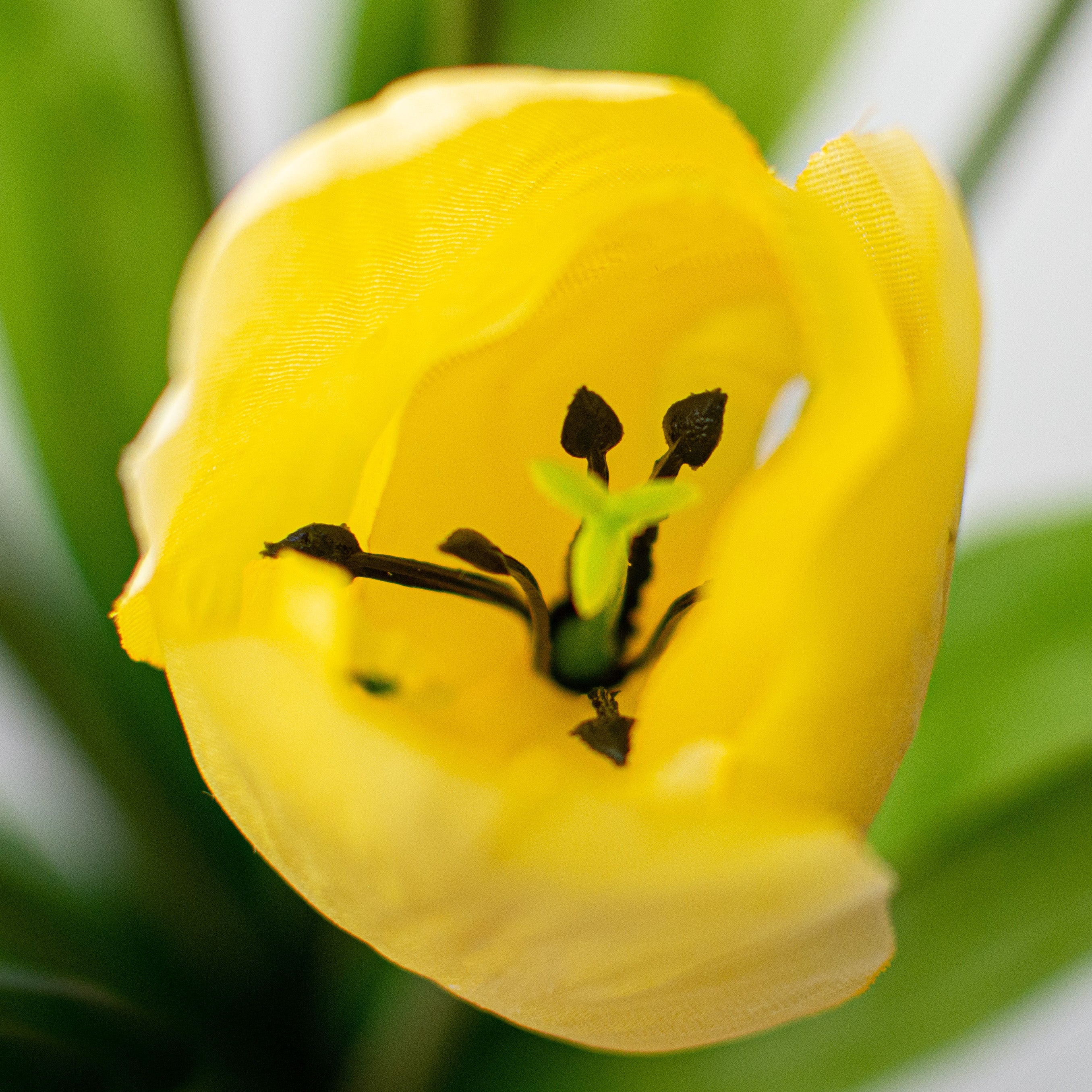 17" Tulips Bush: Yellow detail photo 4