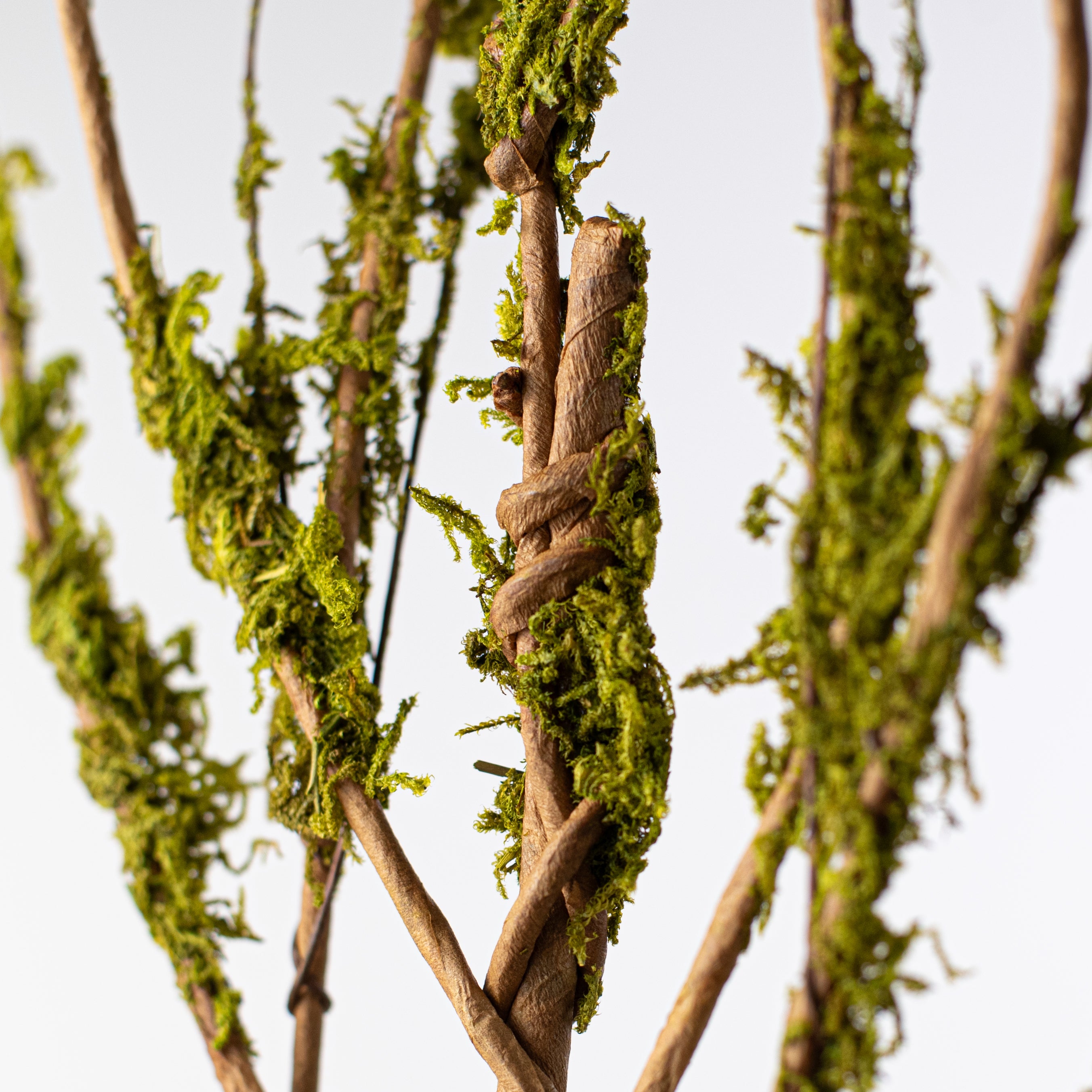 31" Twig Branch with Moss Lifestyle Photo
