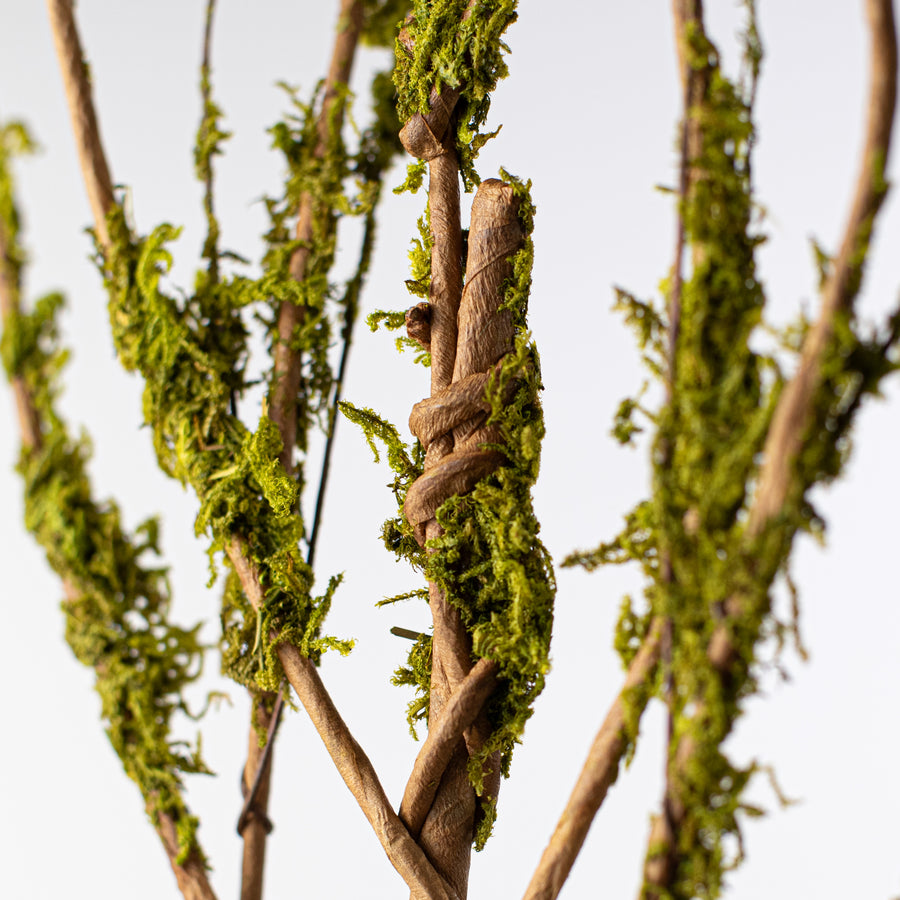 31" Twig Branch with Moss Lifestyle Photo