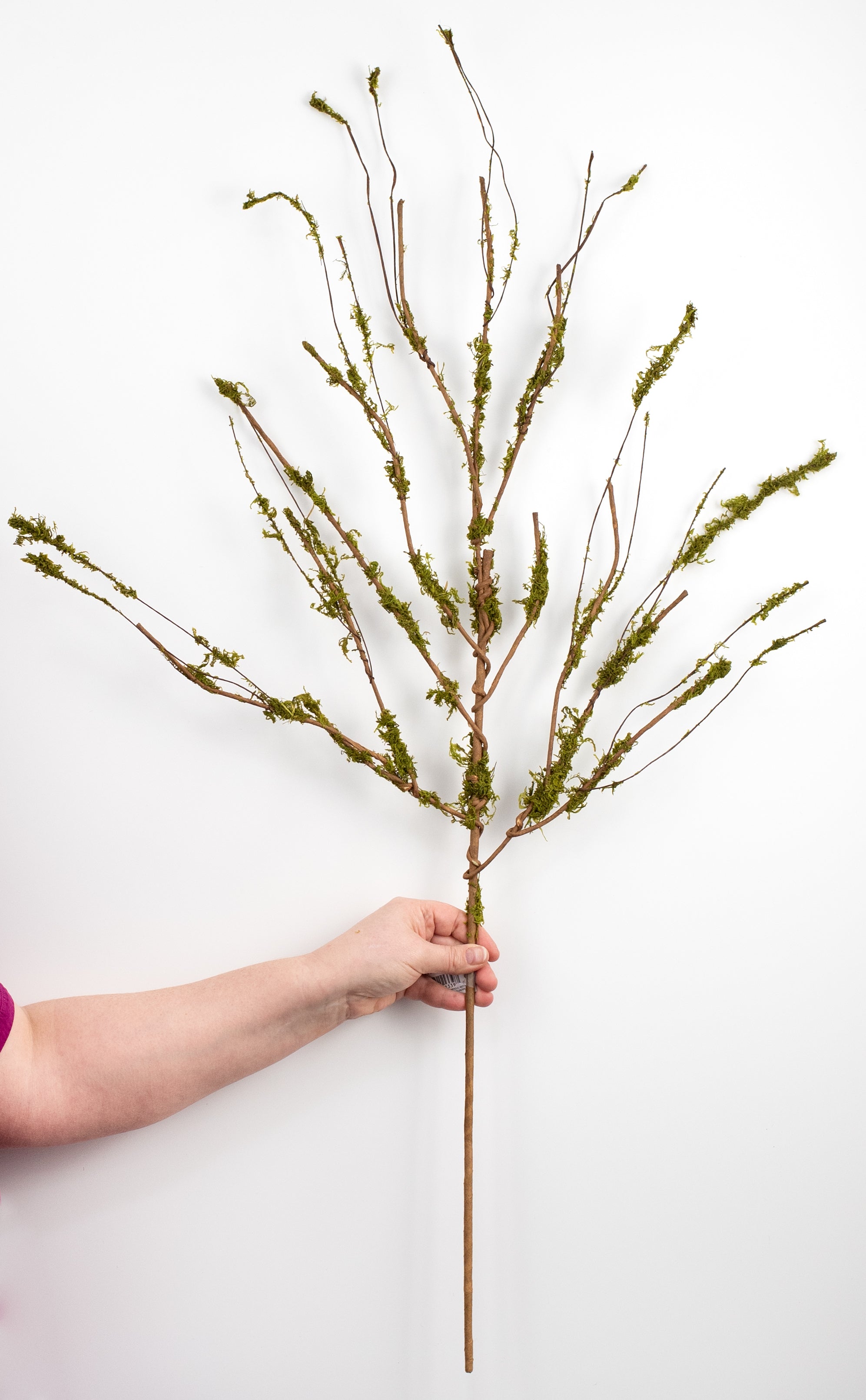31" Twig Branch with Moss detail photo 3