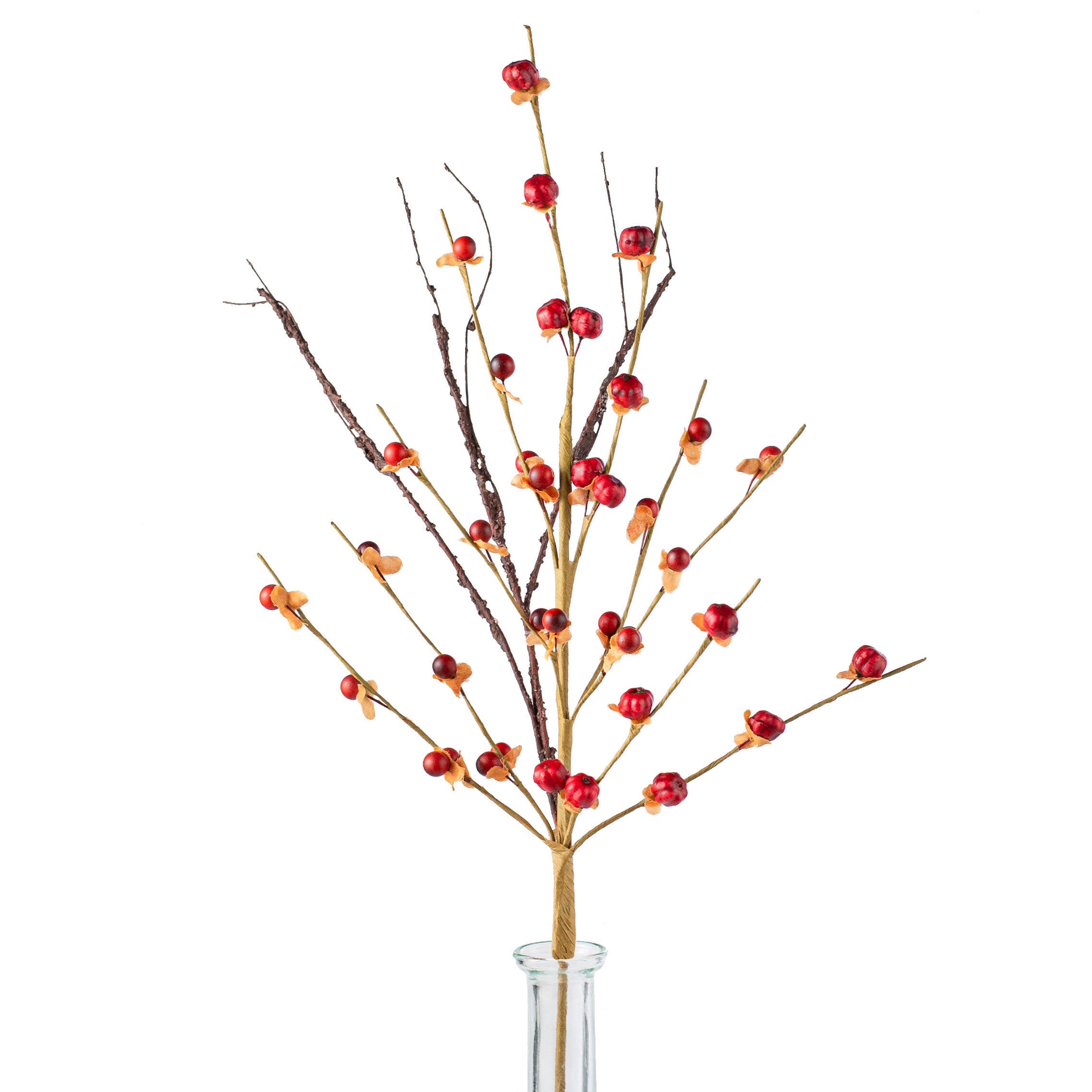 23" Twiggy Pod Bittersweet Bush Item Number: ISB78085
