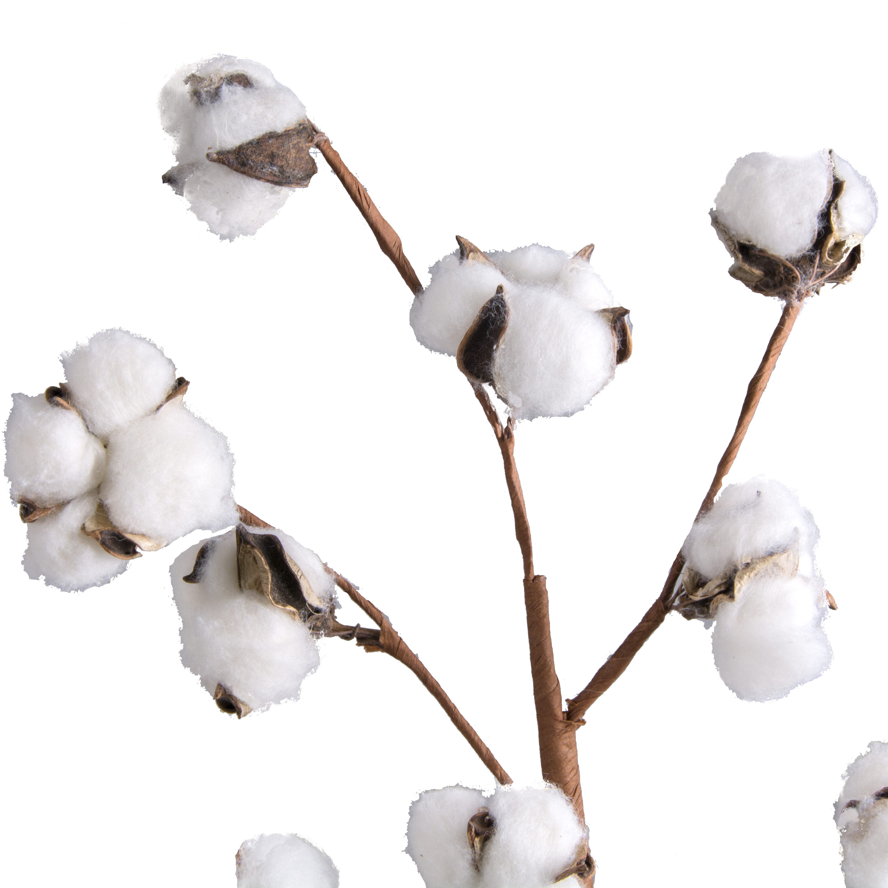 20" ValueLine Cotton Boll Spray detail photo 3
