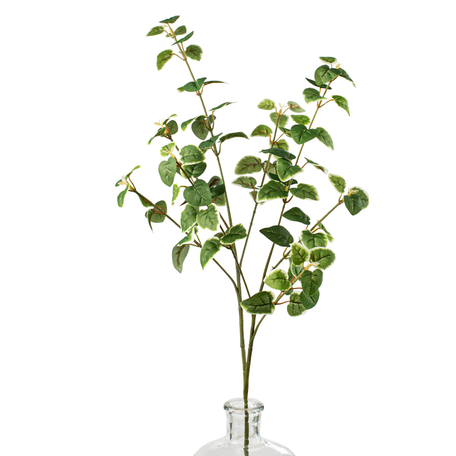 27" Variegated Ivy Spray Item Number: 13596VAGN