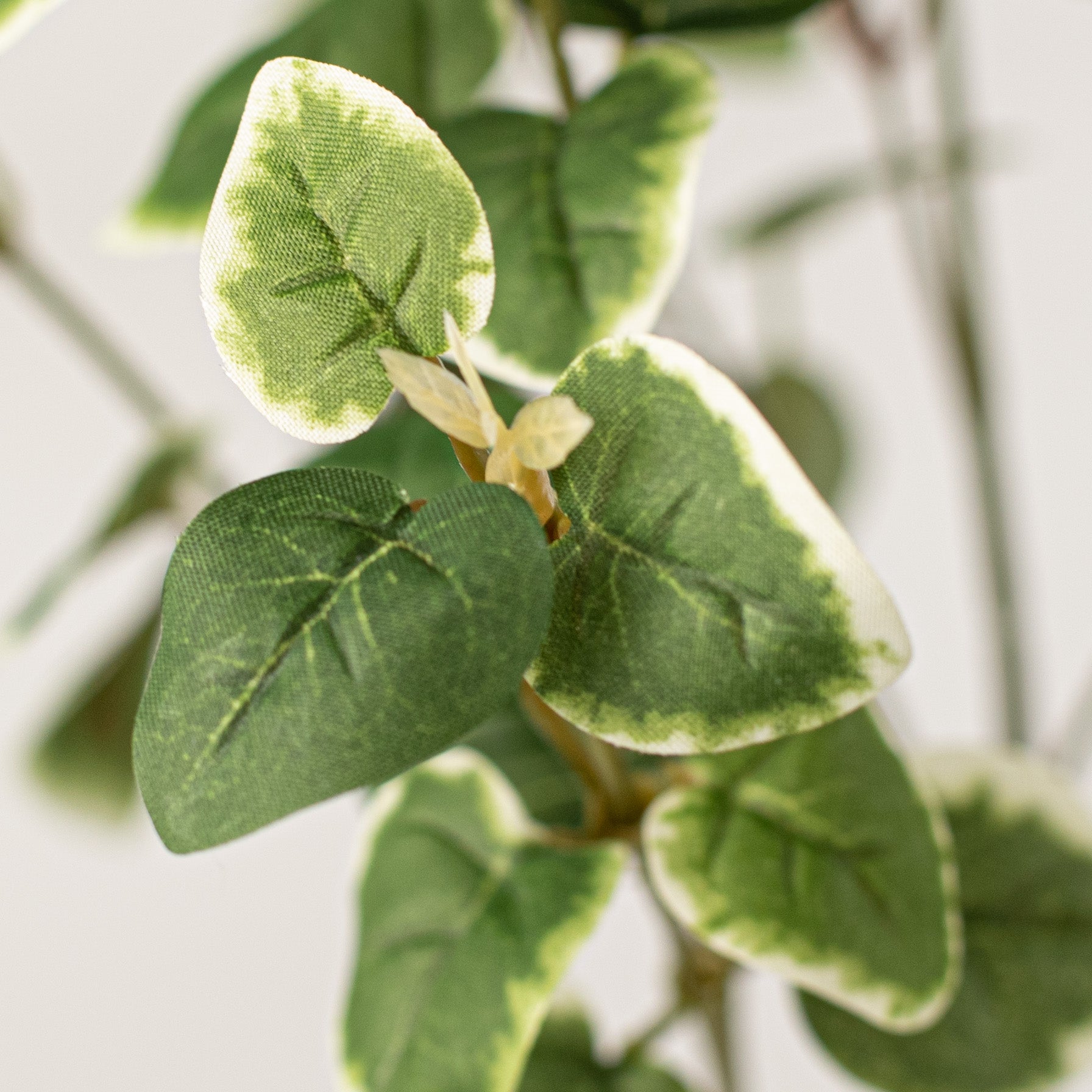 27" Variegated Ivy Spray Lifestyle Photo