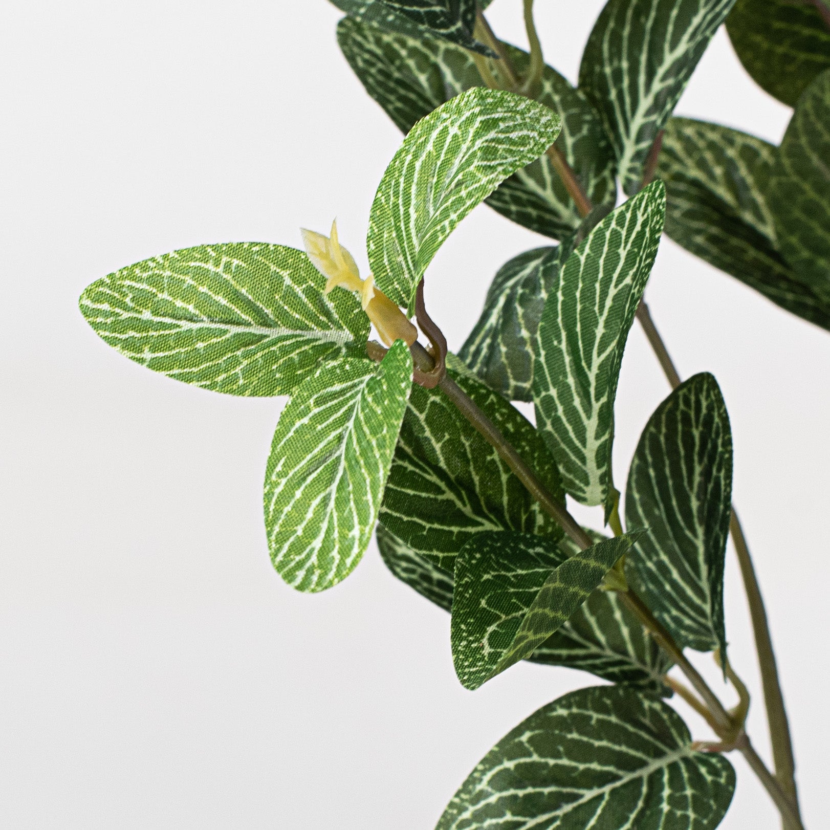 27" Variegated Laurel Spray Lifestyle Photo