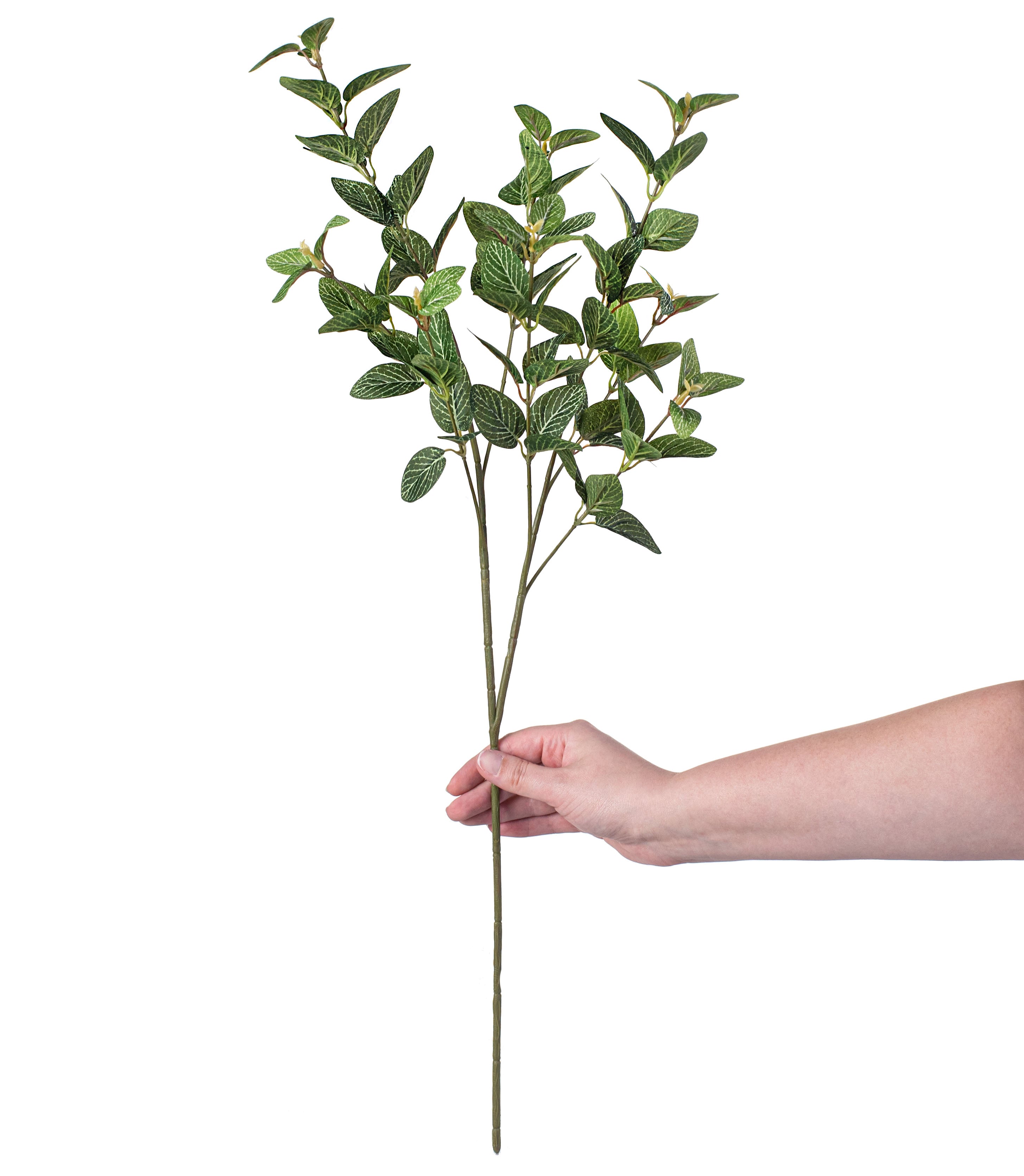 27" Variegated Laurel Spray detail photo 3