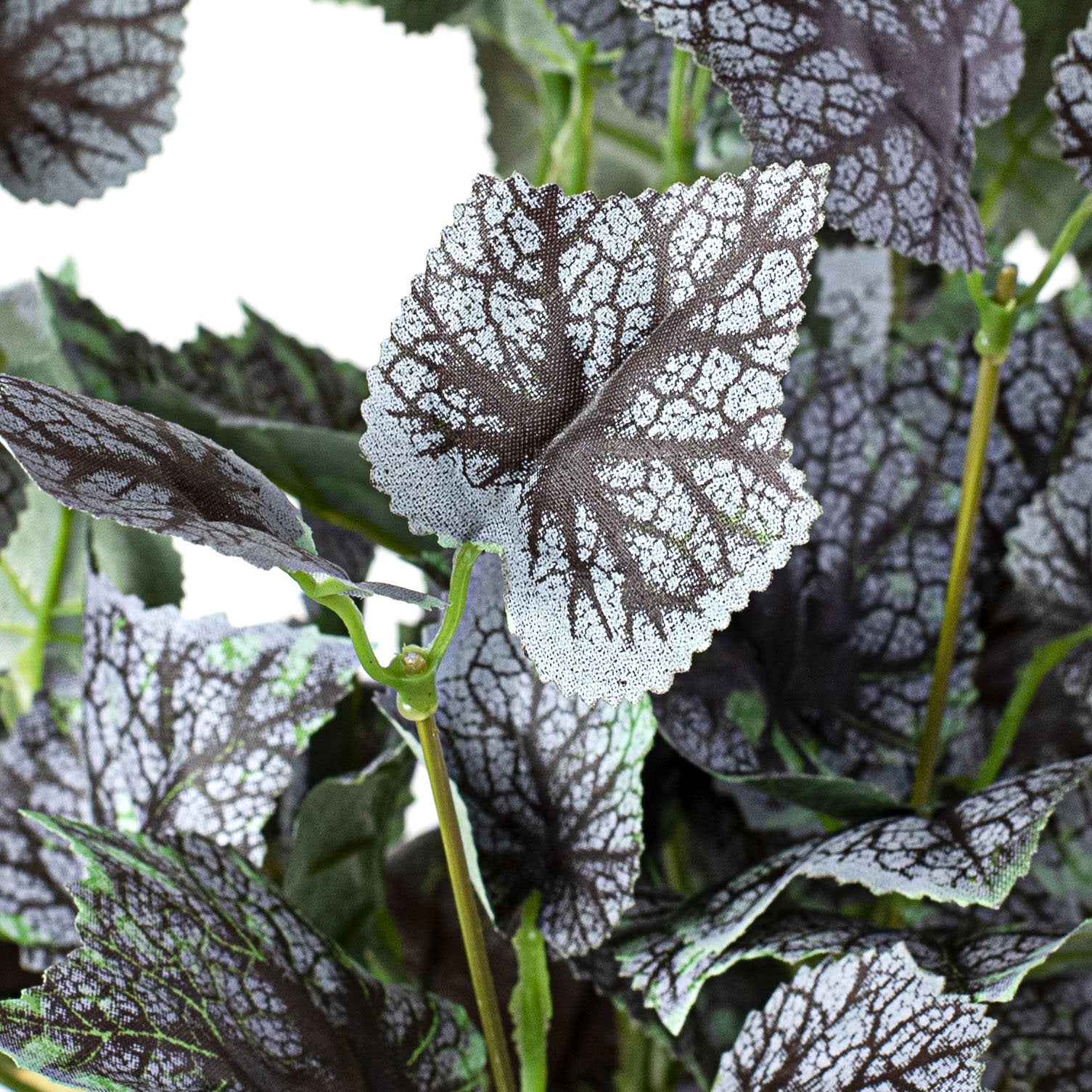 14" Variegated Maple Leaves Bush: Purple & Green Lifestyle Photo