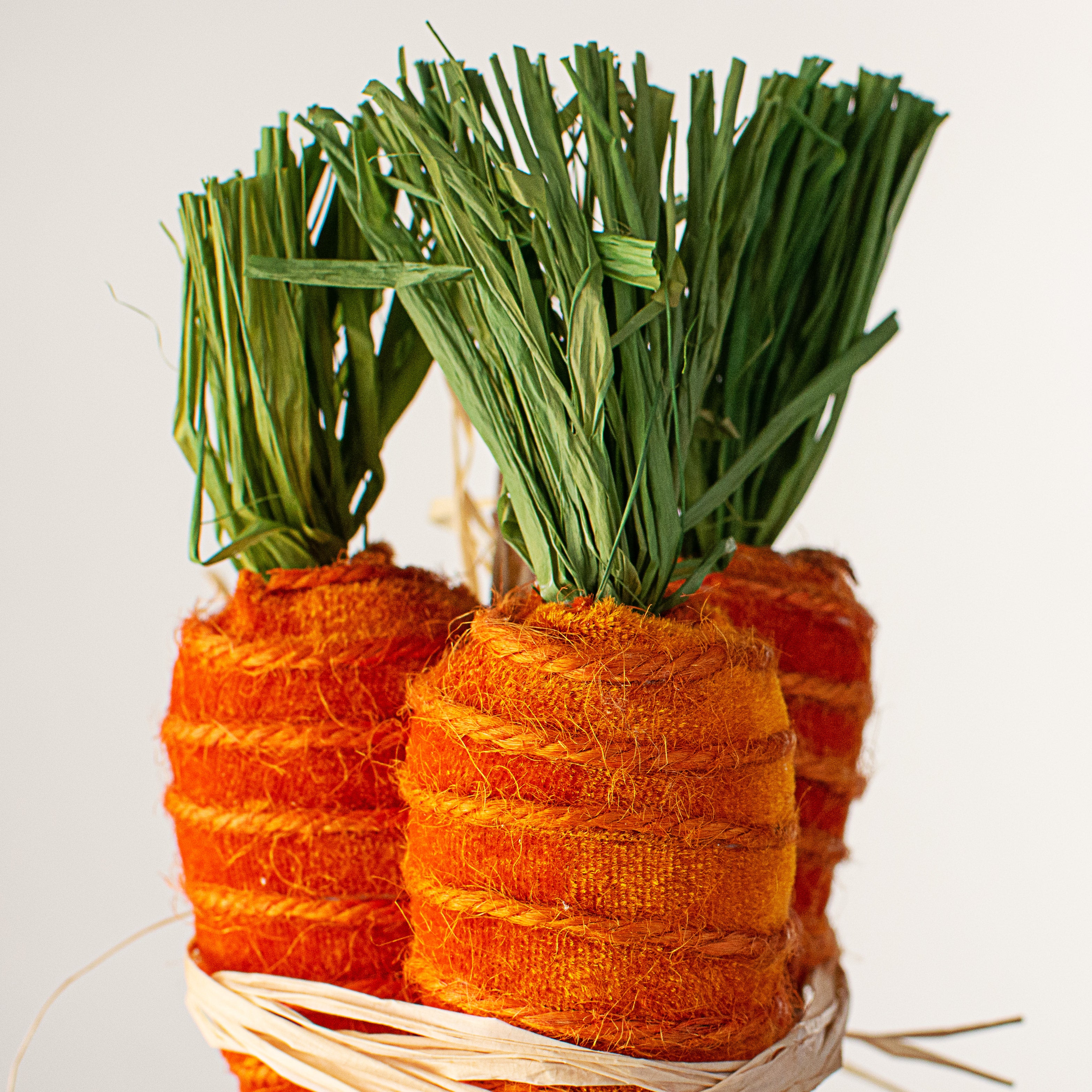 8" Velvet Carrot Bundle detail photo 3