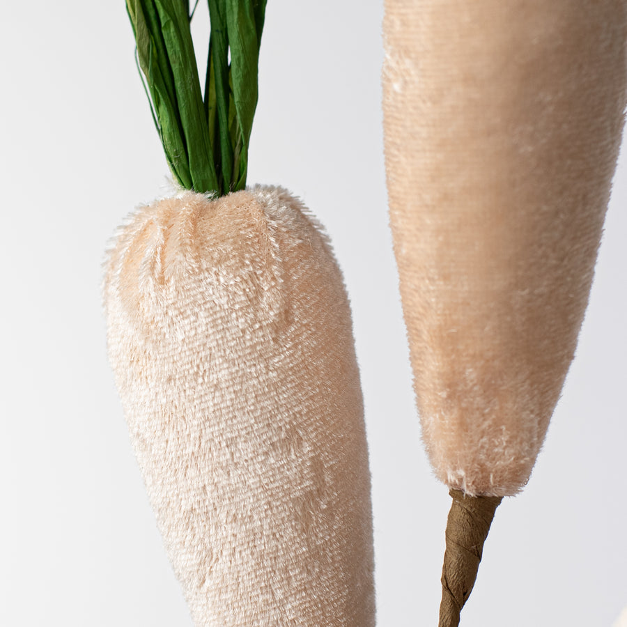 17" Velvet Carrot Pick: Beige Lifestyle Photo