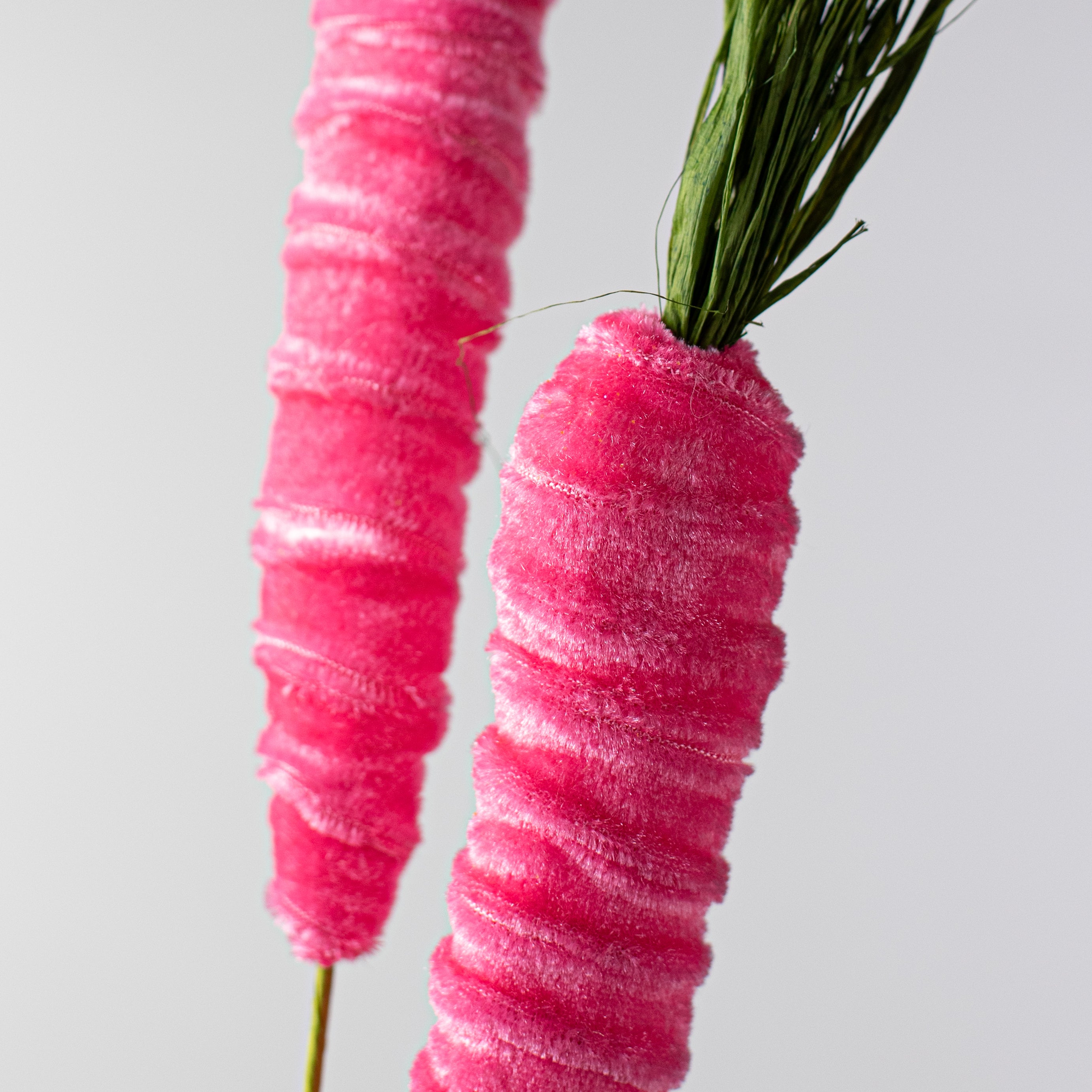 30" Velvet Carrot Spray: Fuchsia Pink Lifestyle Photo