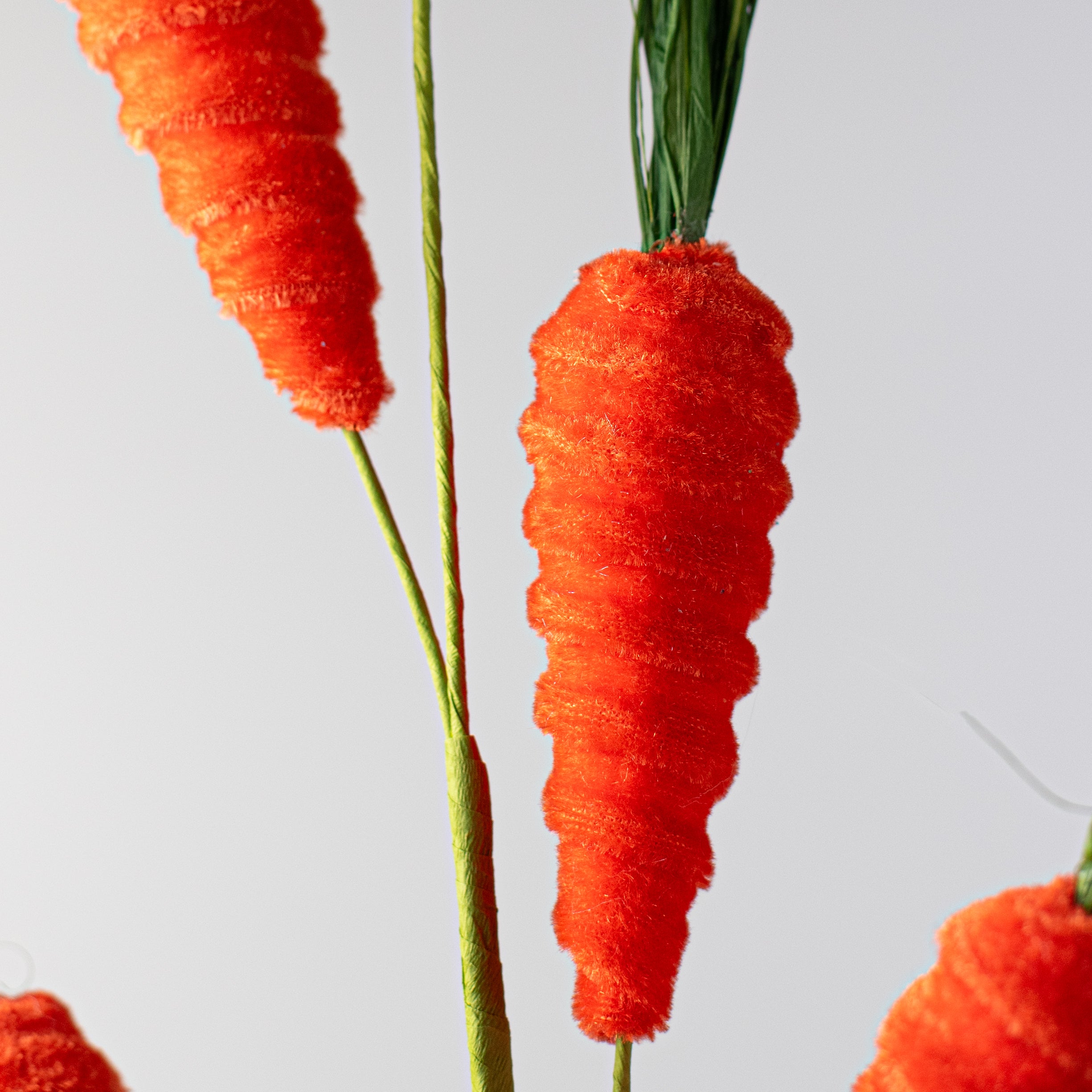 28" Velvet Carrot Spray: Orange Lifestyle Photo