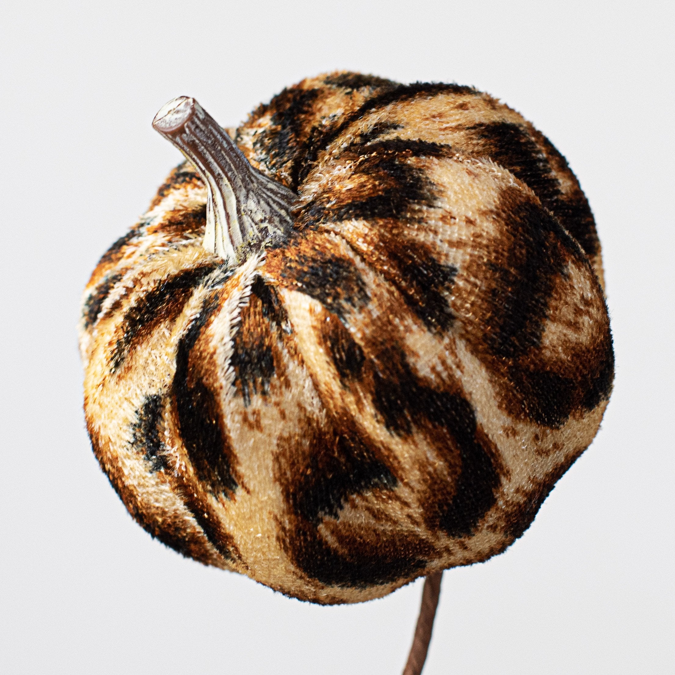 24" Velvet Fabric Cheetah Pumpkin Spray Lifestyle Photo