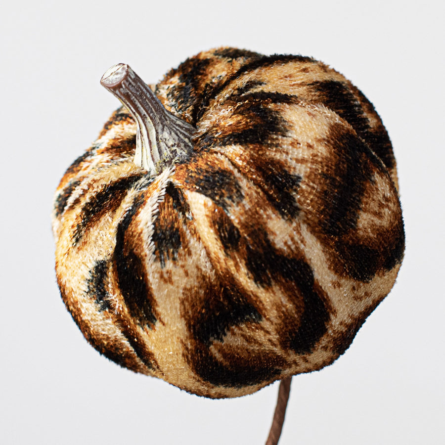 24" Velvet Fabric Cheetah Pumpkin Spray Lifestyle Photo