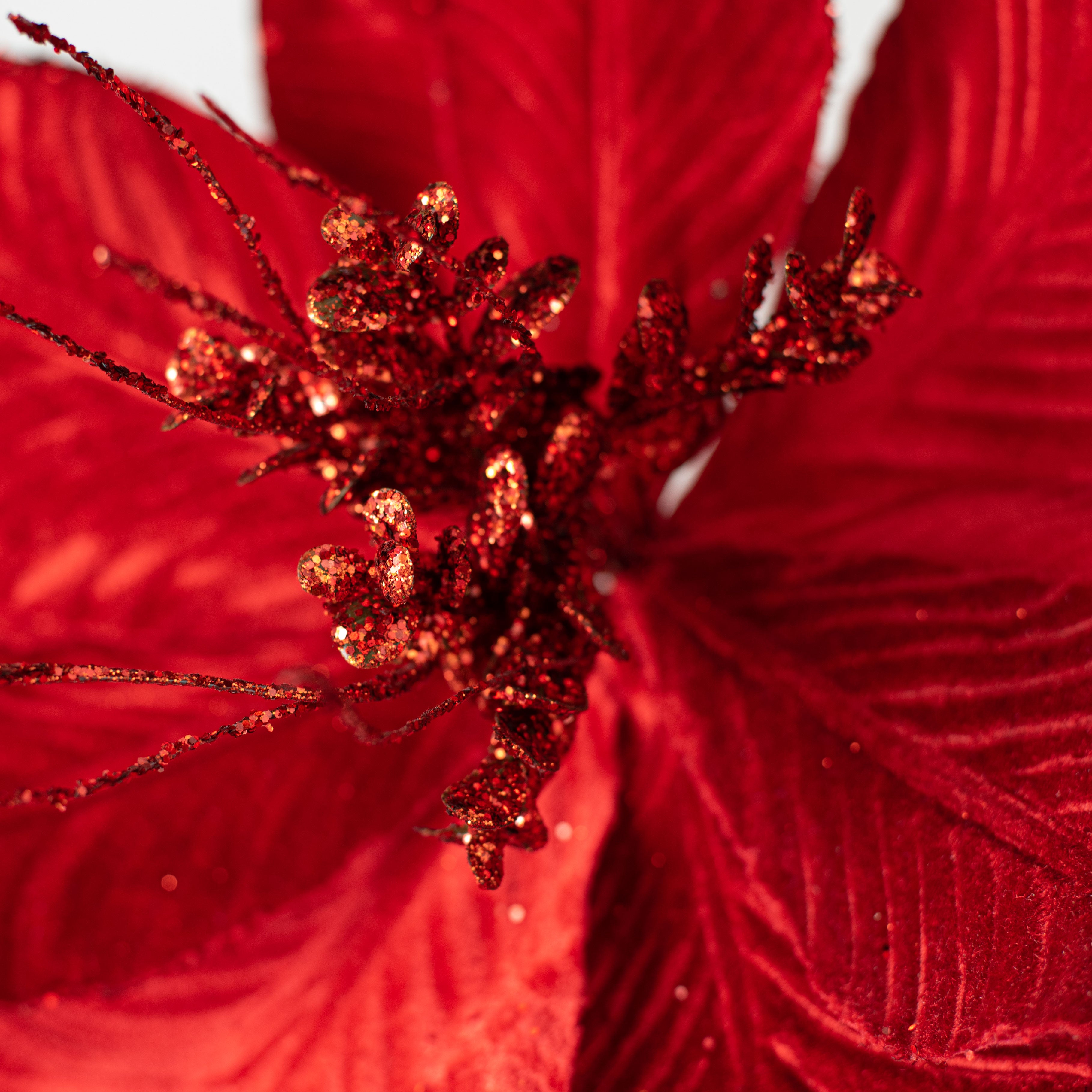 24" Velvet Glitter Luxe Poinsettia Stem: Red detail photo 3