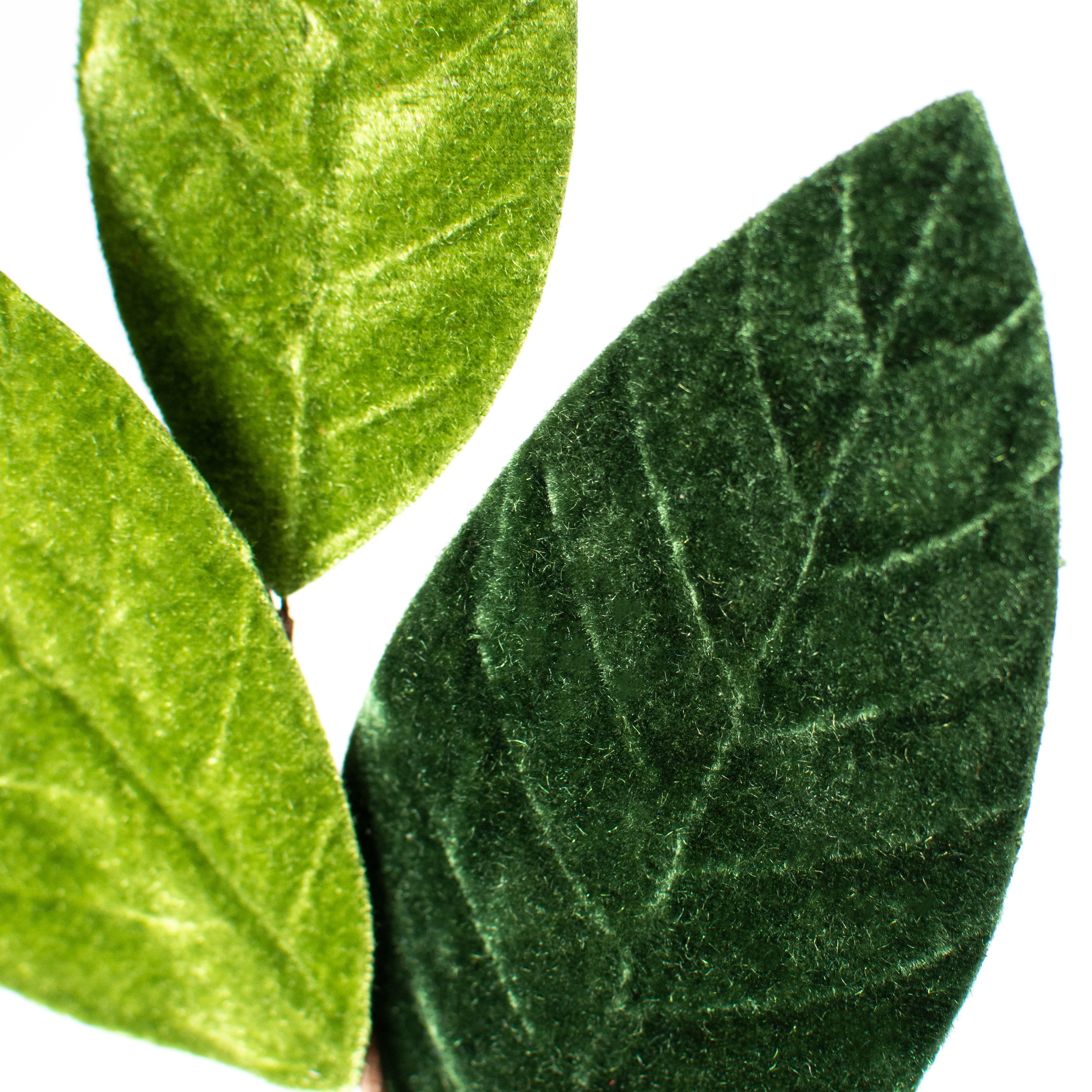 24" Velvet Magnolia Leaf Spray: Two Tone Green Lifestyle Photo
