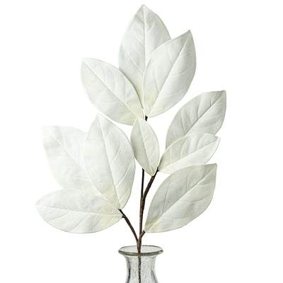 32" Velvet Magnolia Leaves Stem: White Item Number: 282786