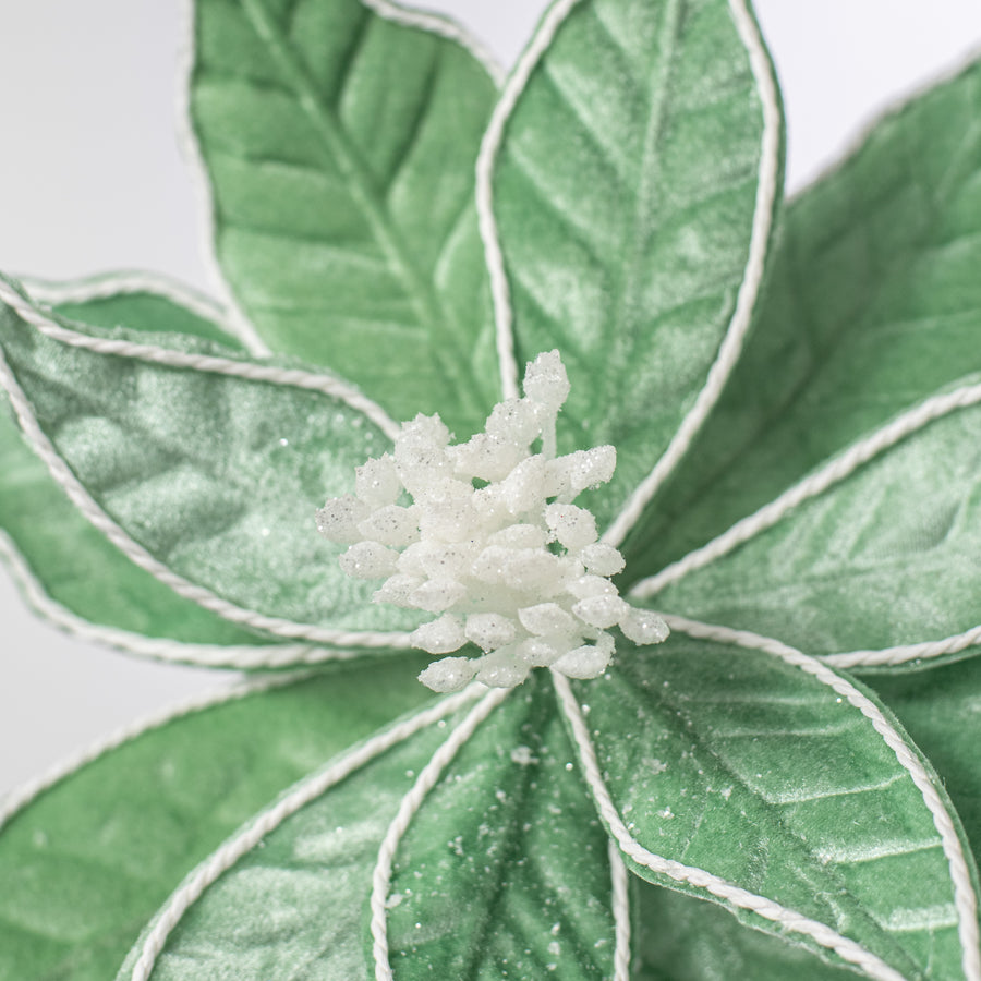 22" Velvet Poinsettia Stem: Frozen Green Lifestyle Photo