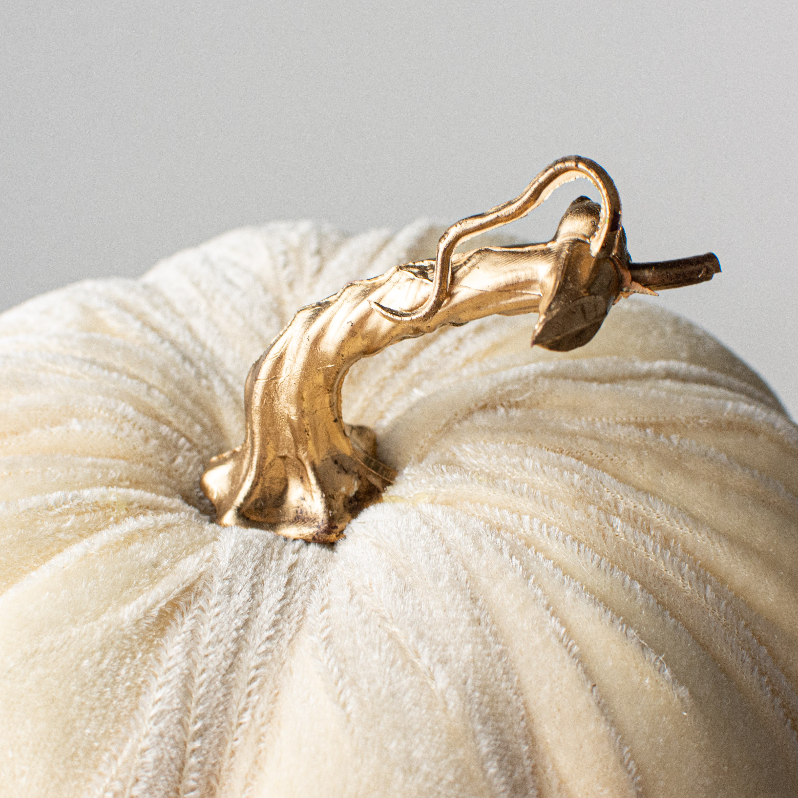 7" Velvet Pumpkin: Cream With Gold detail photo 3