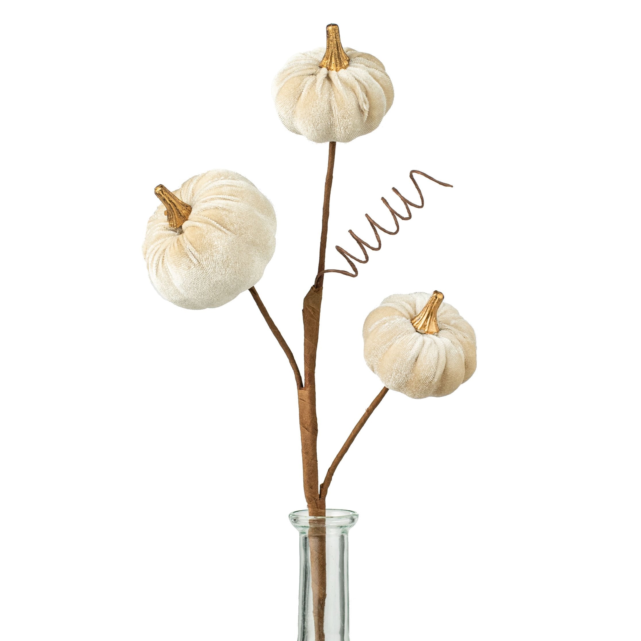 16" Velvet Pumpkin Pick: Champagne Item Number: 56955BE