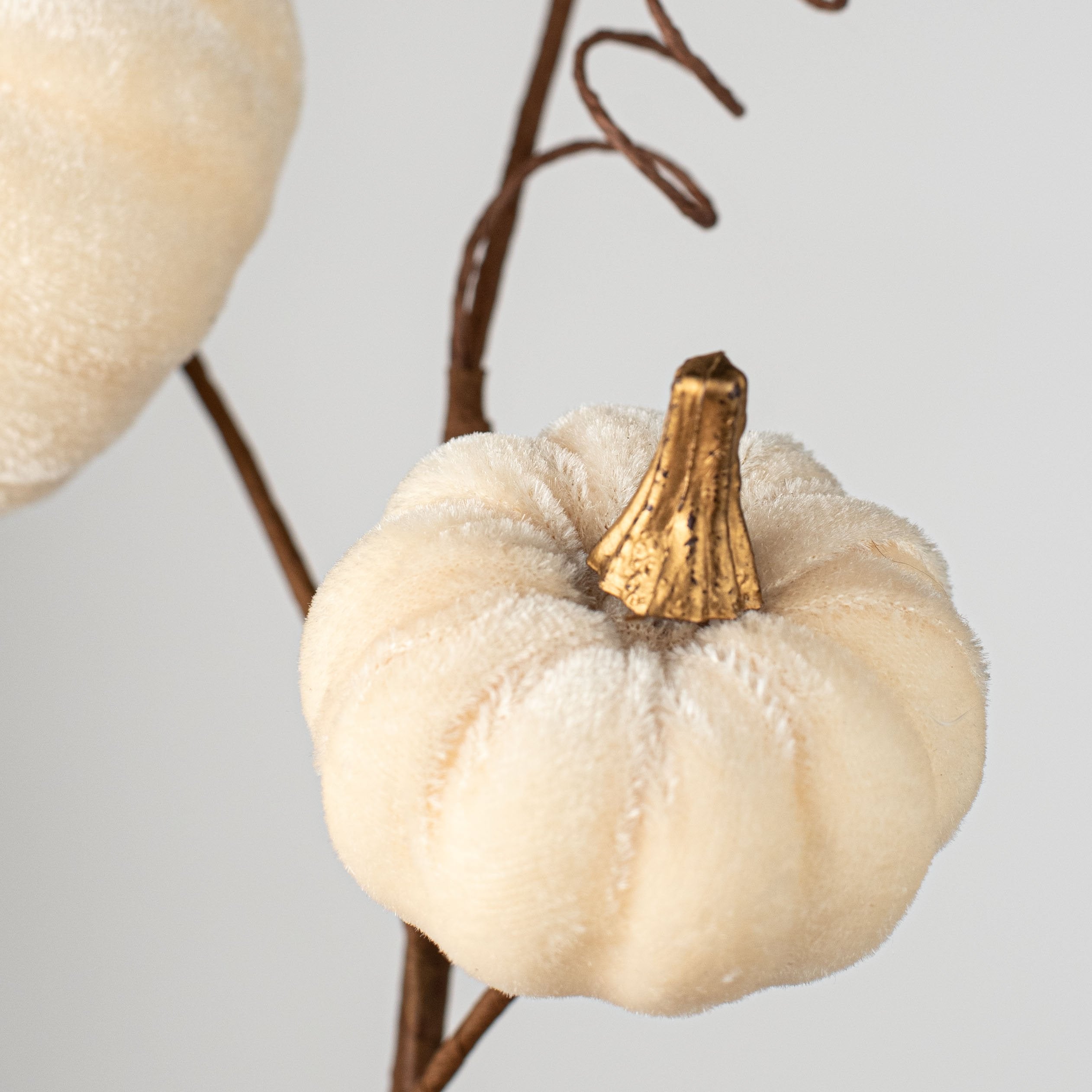 16" Velvet Pumpkin Pick: Cream Lifestyle Photo