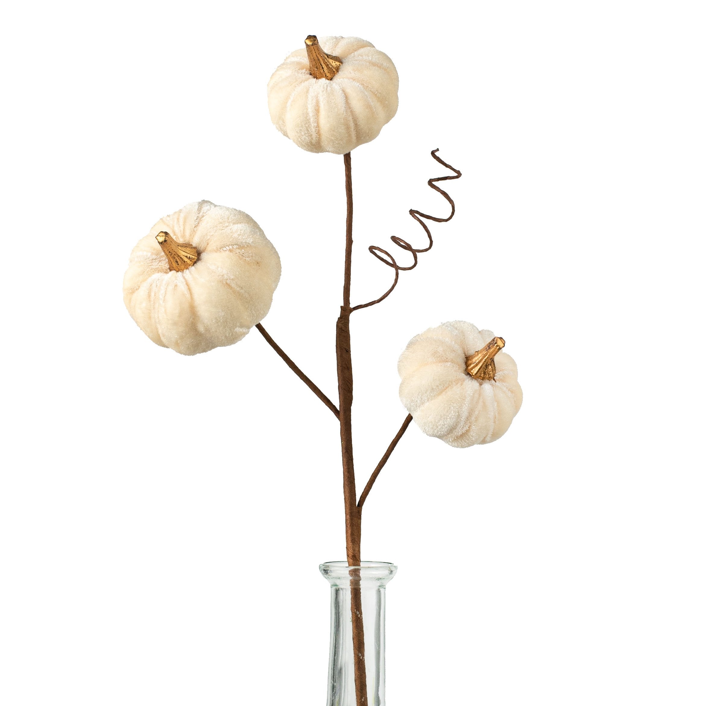 16" Velvet Pumpkin Pick: Cream Item Number: 56955CM