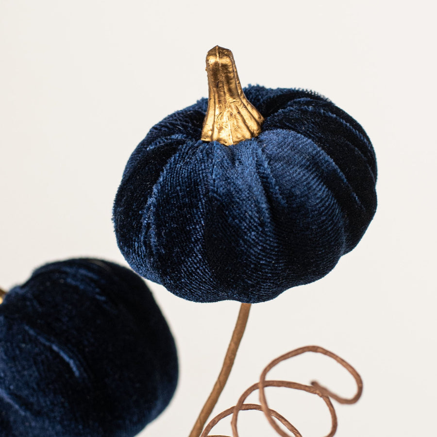 16" Velvet Pumpkin Pick: Navy Blue Lifestyle Photo