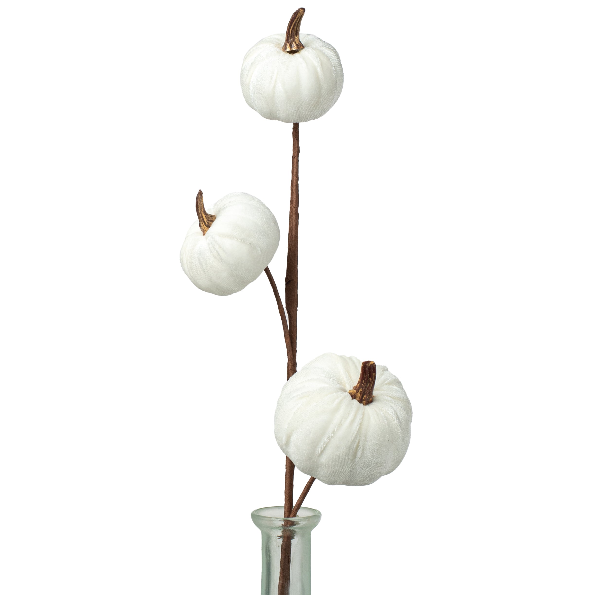 15" Velvet Pumpkins with Gold Stem Pick: White Item Number: 31357