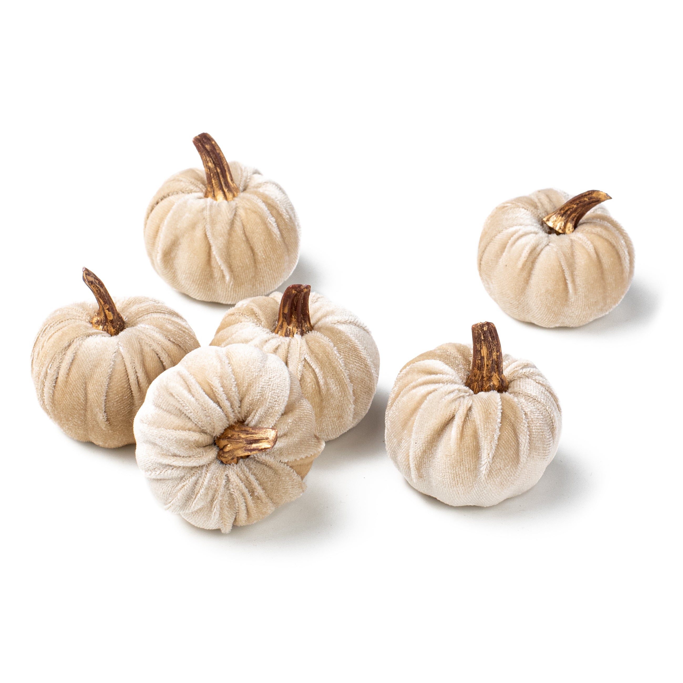 2" Velvet Pumpkins with Gold Stems: Champagne (Pack of 6) Item Number: 31343