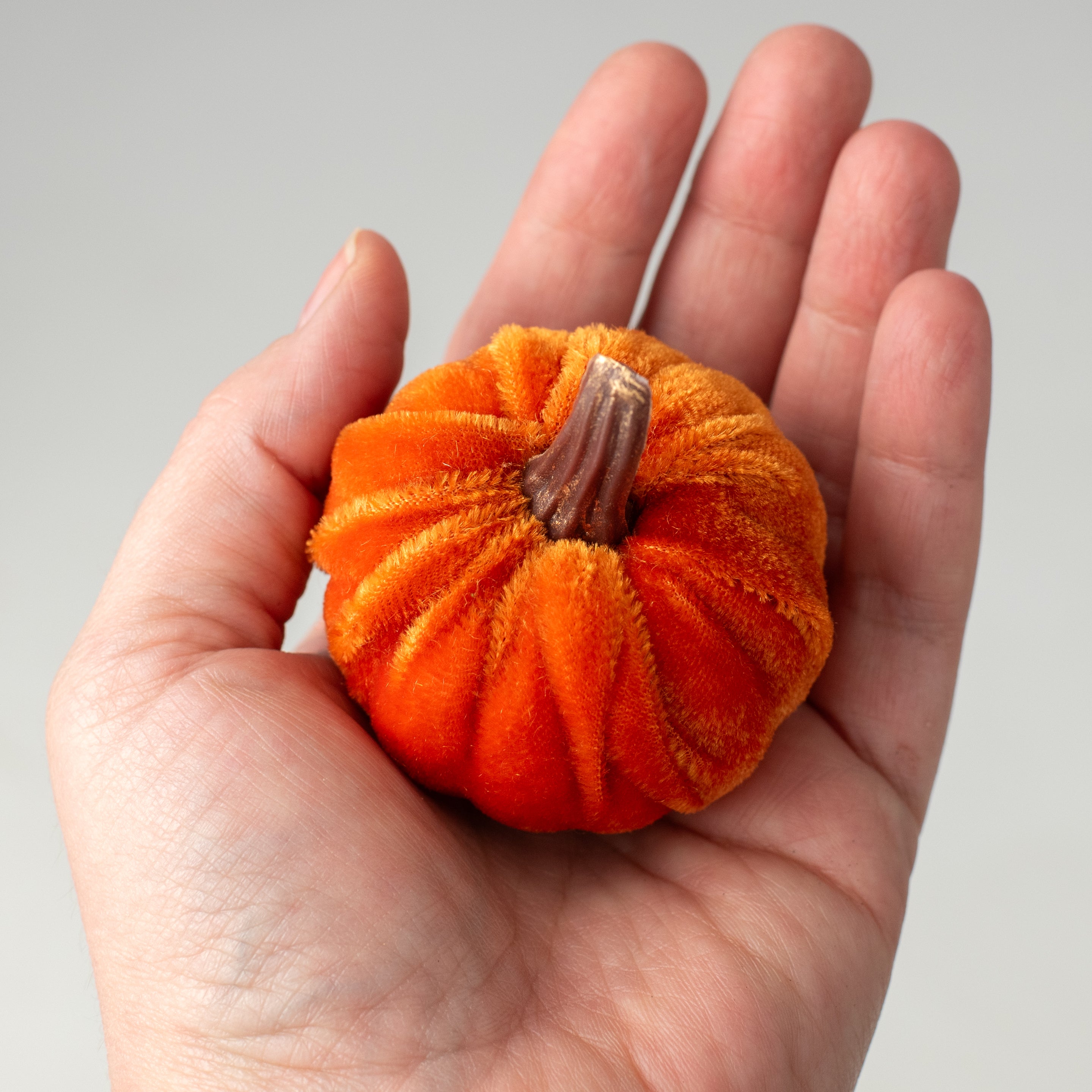 2" Velvet Pumpkins with Gold Stems: Orange (Pack of 6) Lifestyle Photo