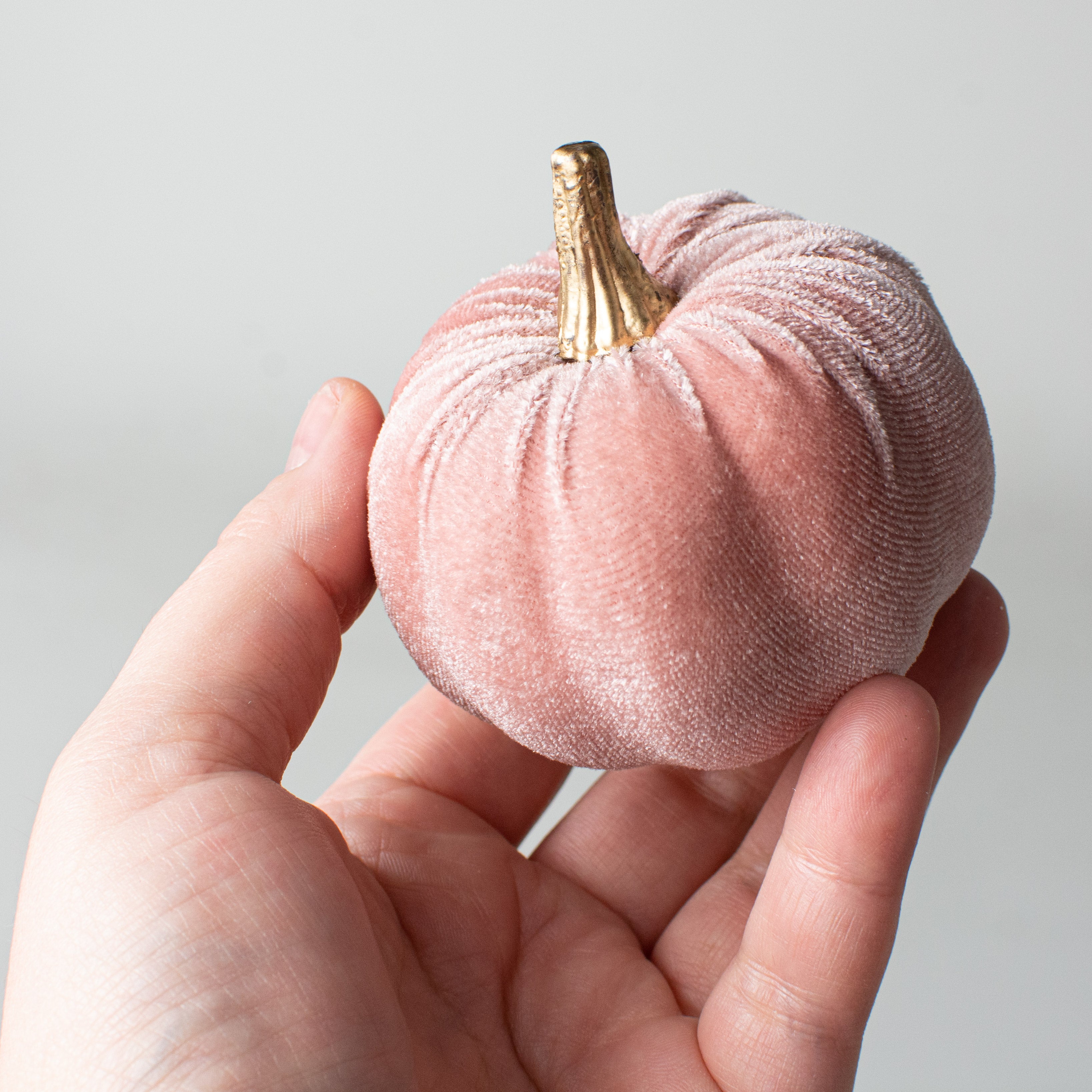 3" Velvet Pumpkins: Rose Pink (Set of 6) detail photo 3