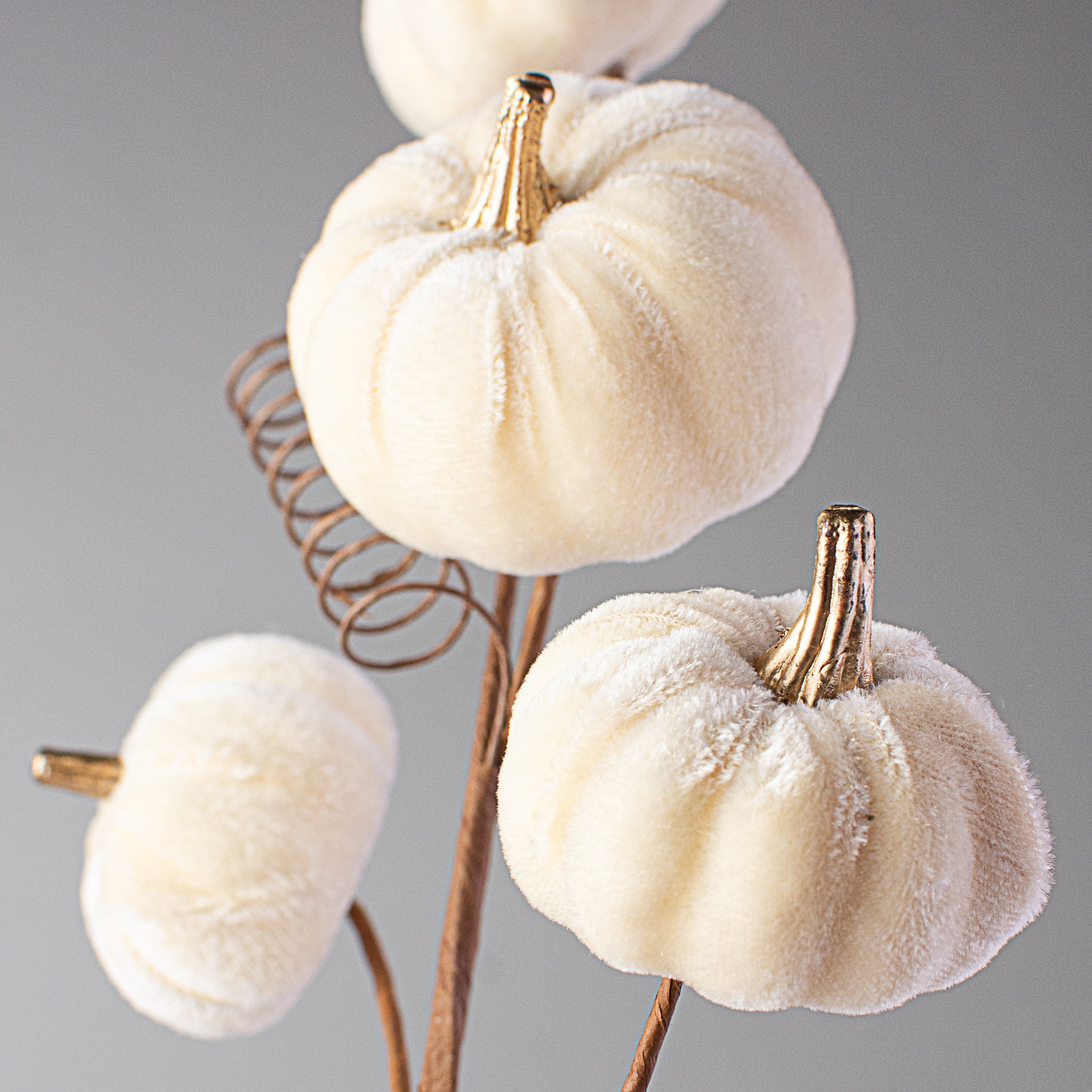 28" Velvet Pumpkins Spray: Cream Lifestyle Photo