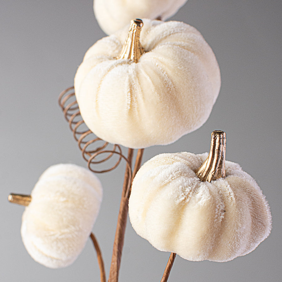 28" Velvet Pumpkins Spray: Cream Lifestyle Photo